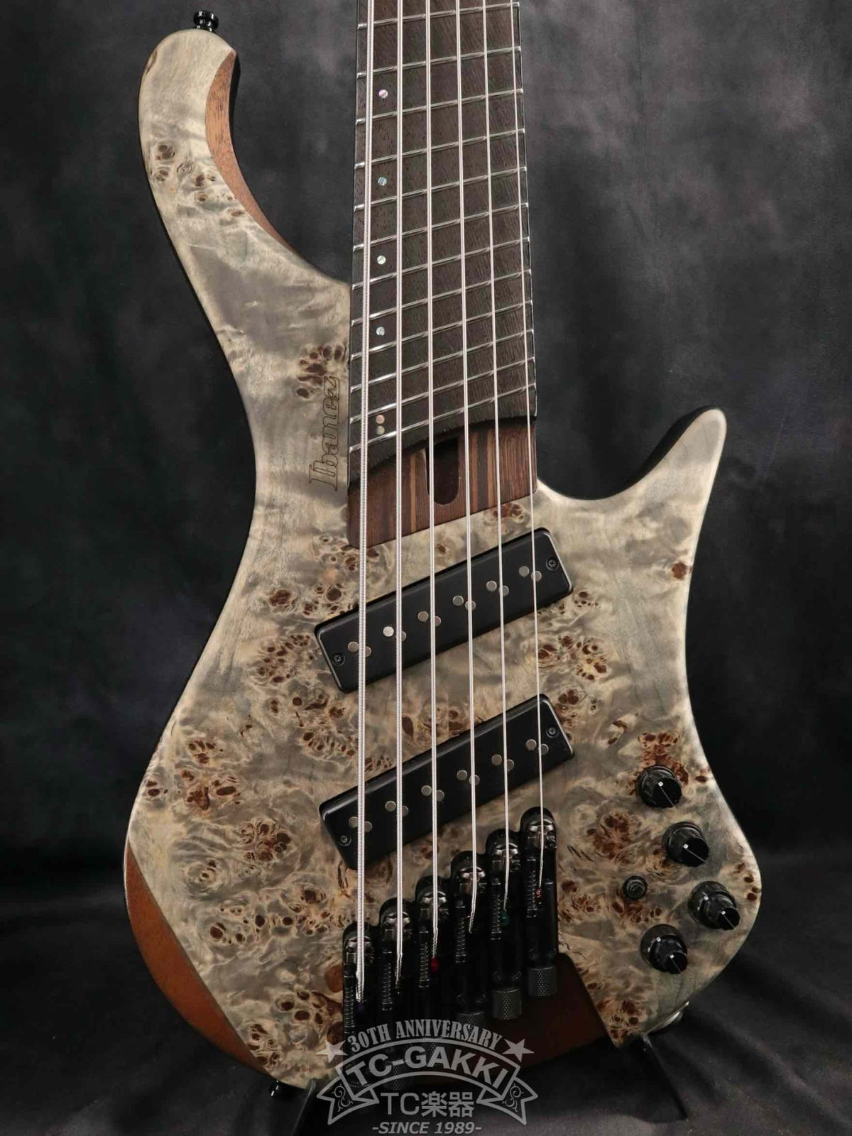 Ibanez 2023 EHB1506MS - TC楽器 - TCGAKKI