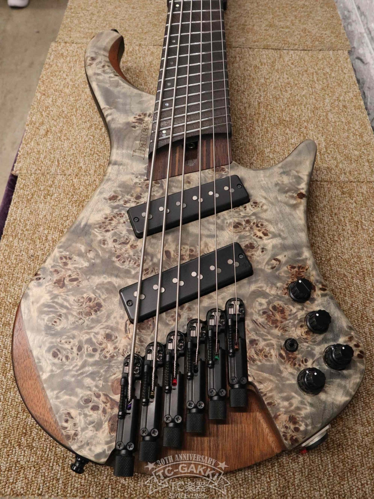 Ibanez 2023 EHB1506MS - TC楽器 - TCGAKKI