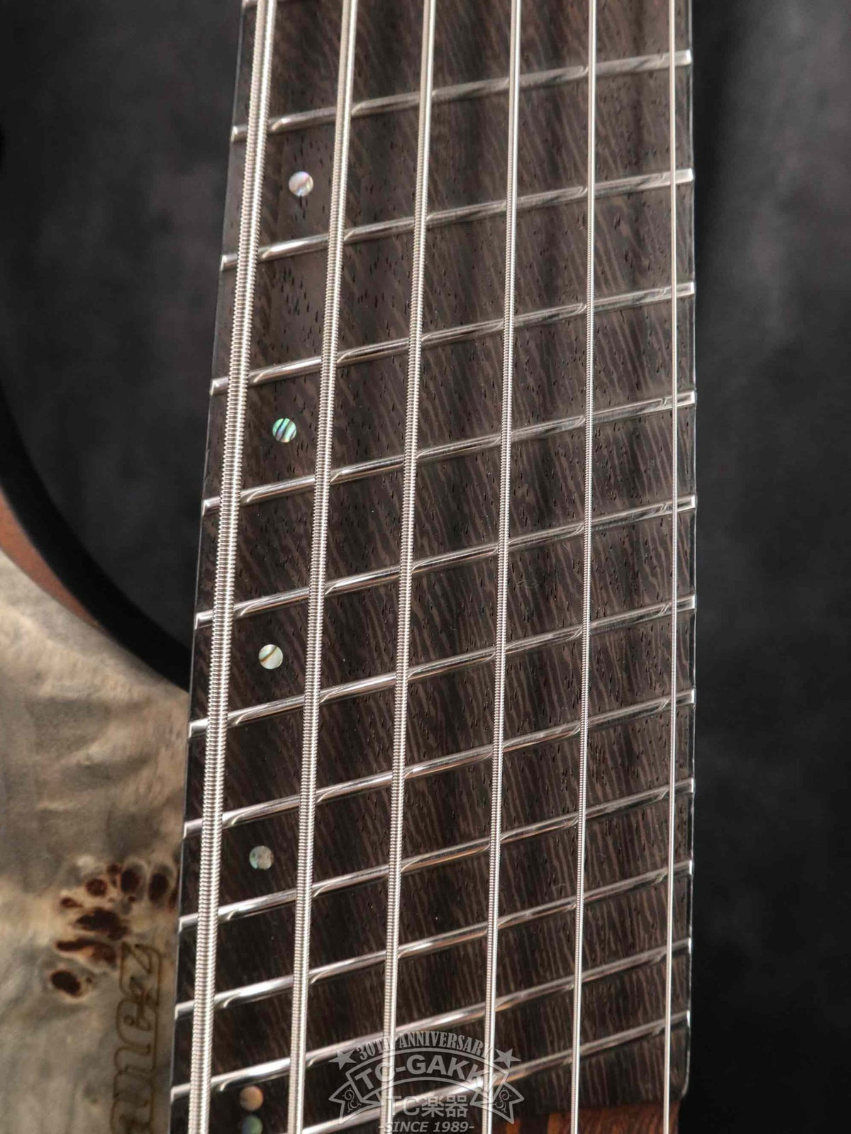 Ibanez 2023 EHB1506MS - TC楽器 - TCGAKKI