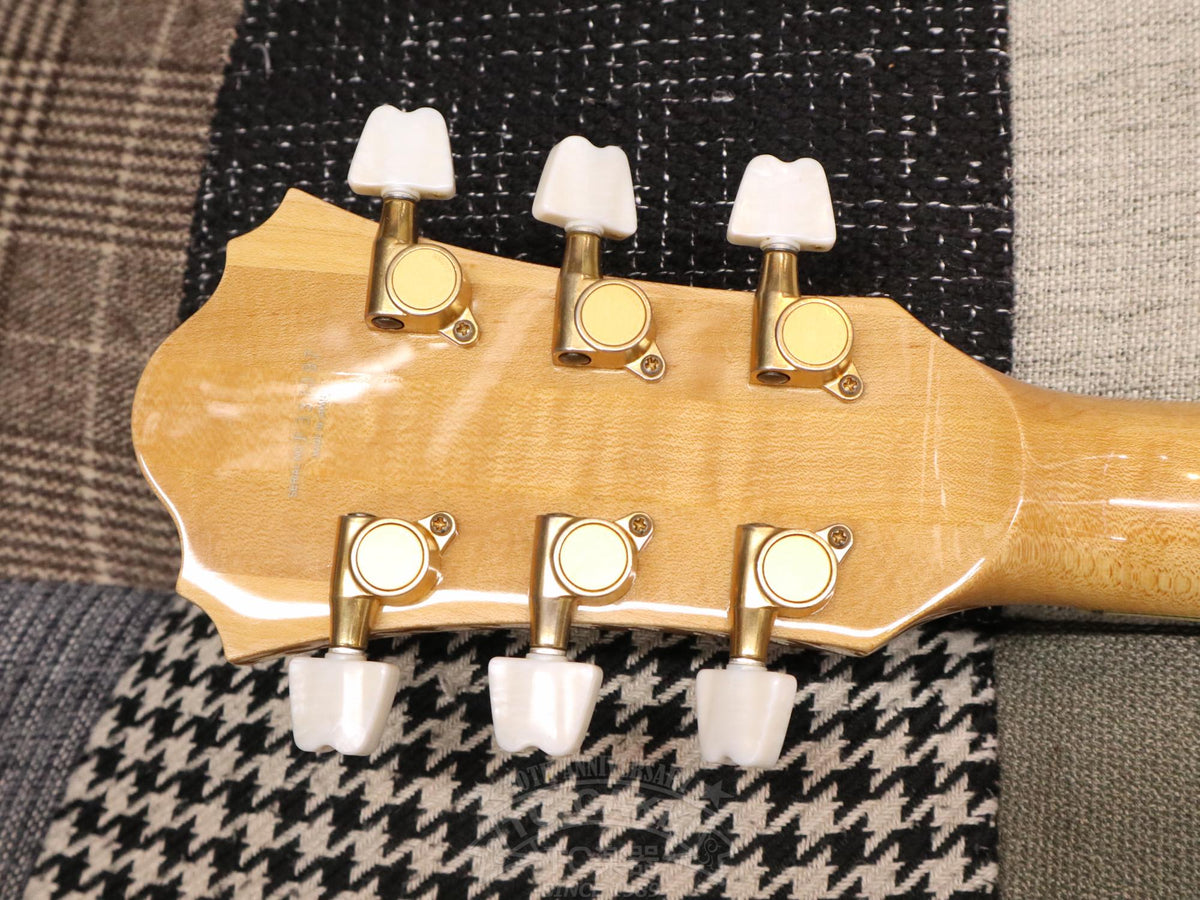 Ibanez GB10 George Benson - TC楽器 - TCGAKKI