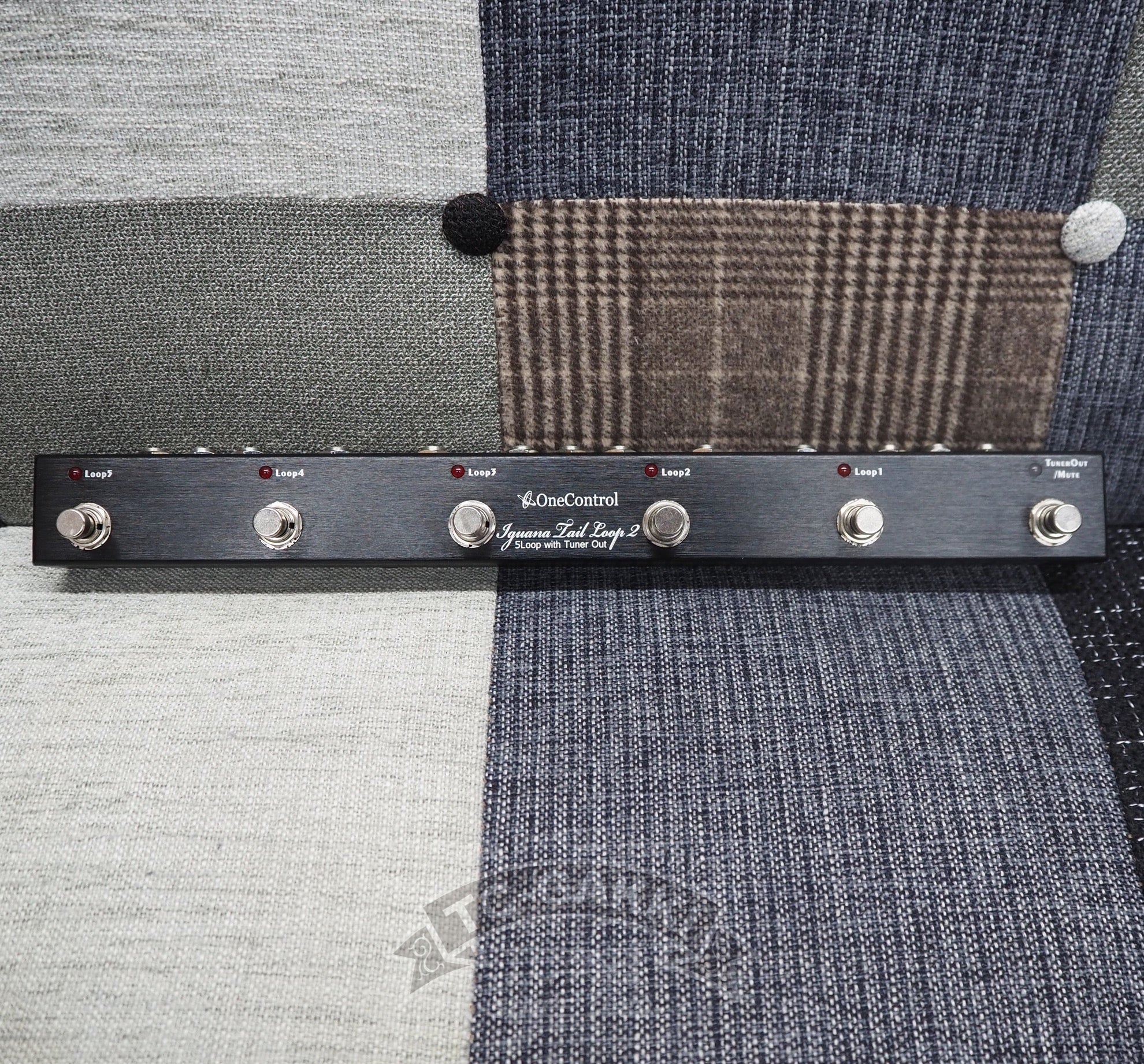 Iguana Tail Loop 2 - 5Loop with Tuner Out - TC楽器 - TCGAKKI