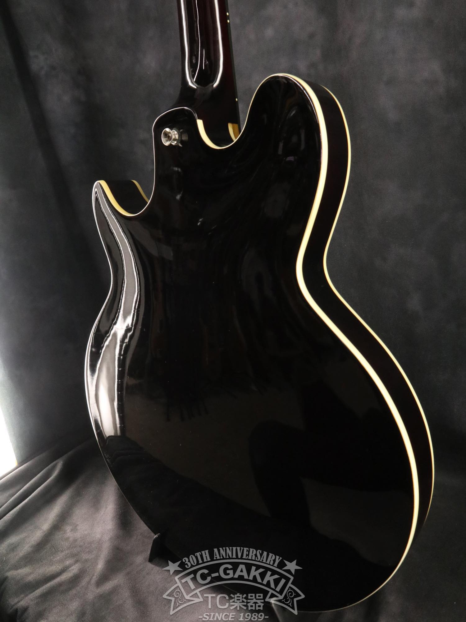 Jack Casady Signature Bass - TC楽器 - TCGAKKI