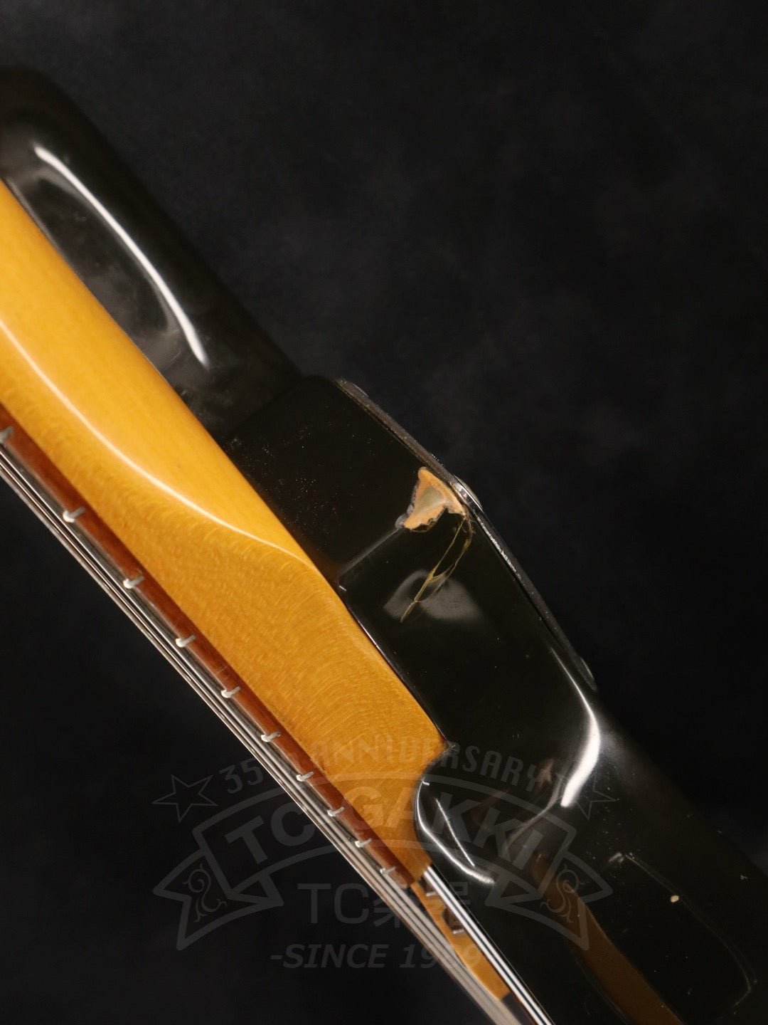 JG66 - TC楽器 - TCGAKKI