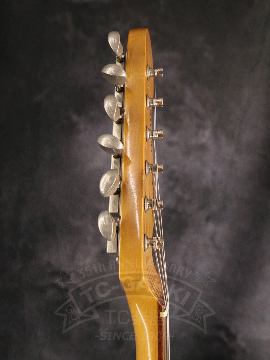 JG66 - TC楽器 - TCGAKKI