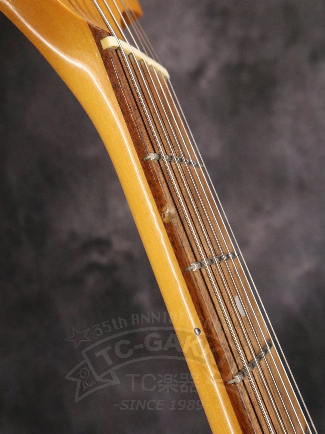 JG66 - TC楽器 - TCGAKKI