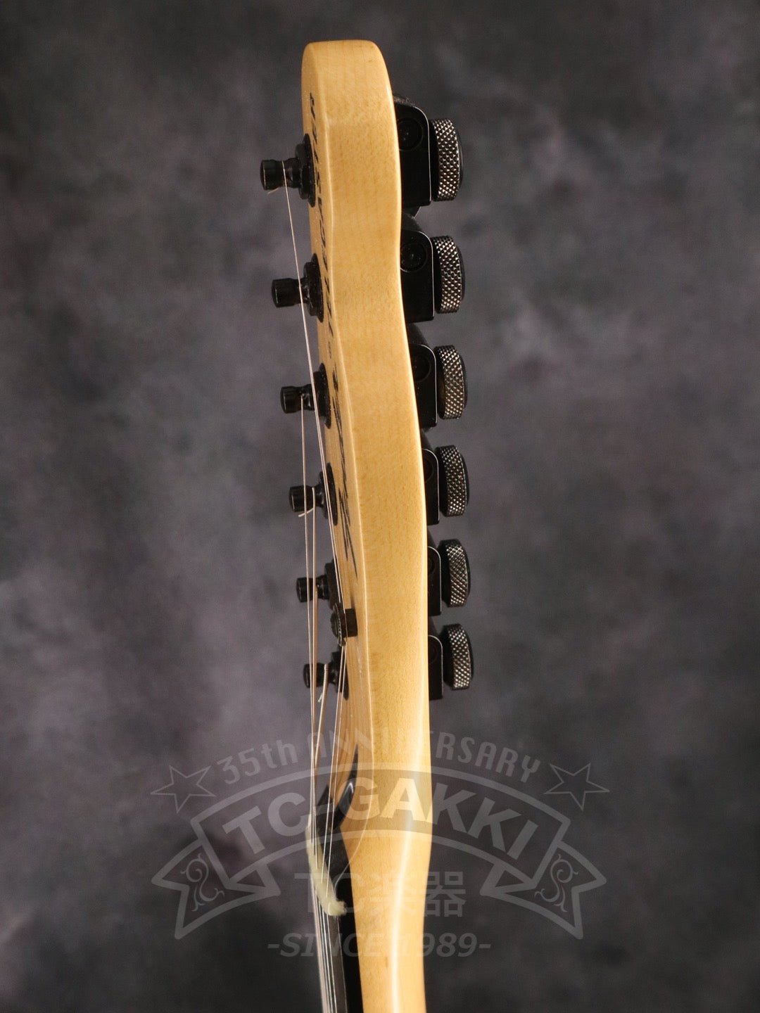 Jim Root Telecaster - TC楽器 - TCGAKKI