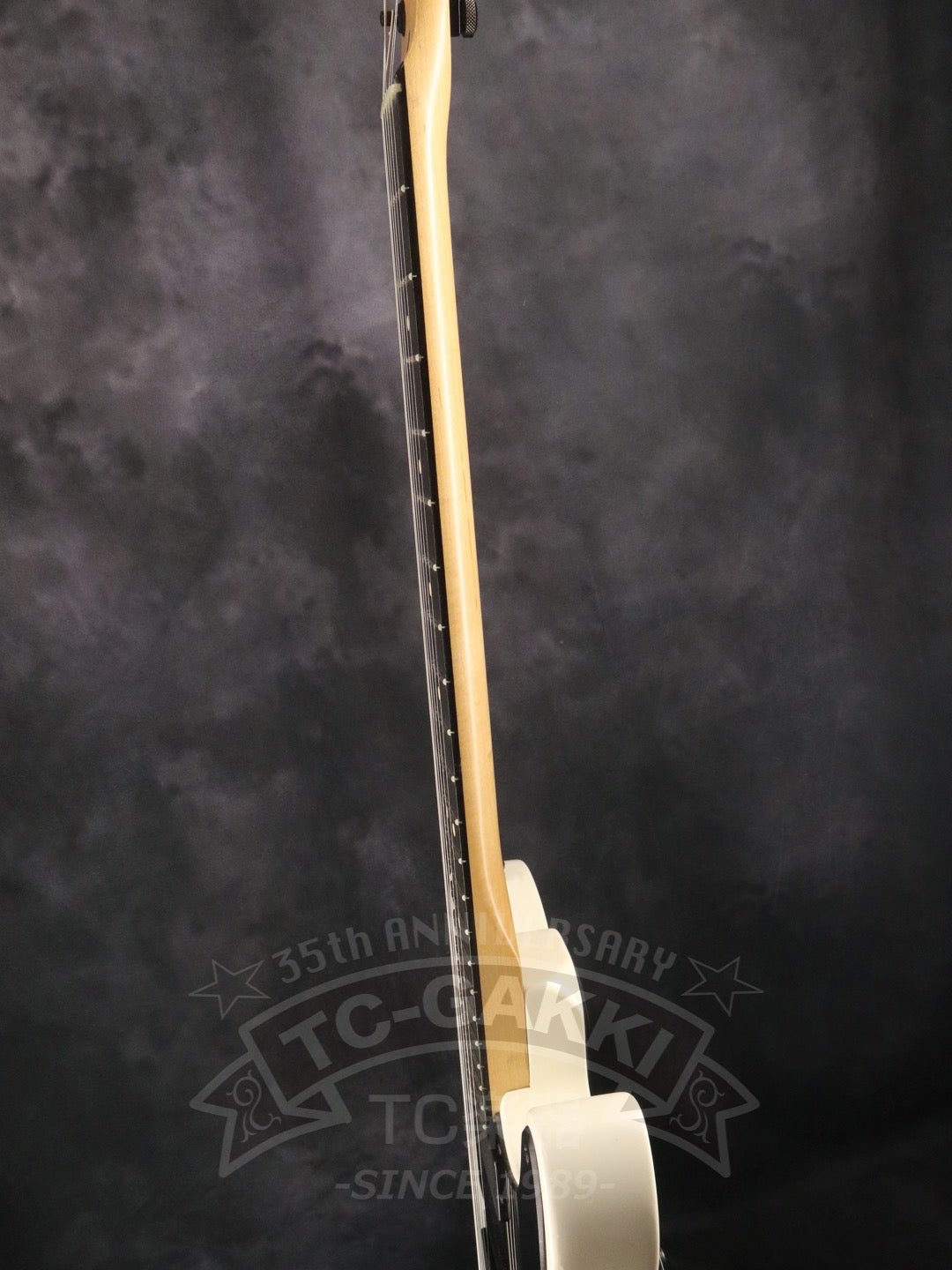 Jim Root Telecaster - TC楽器 - TCGAKKI