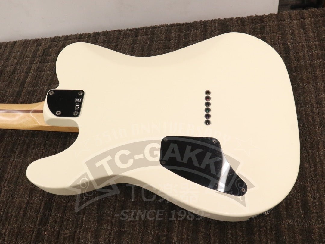 Jim Root Telecaster - TC楽器 - TCGAKKI