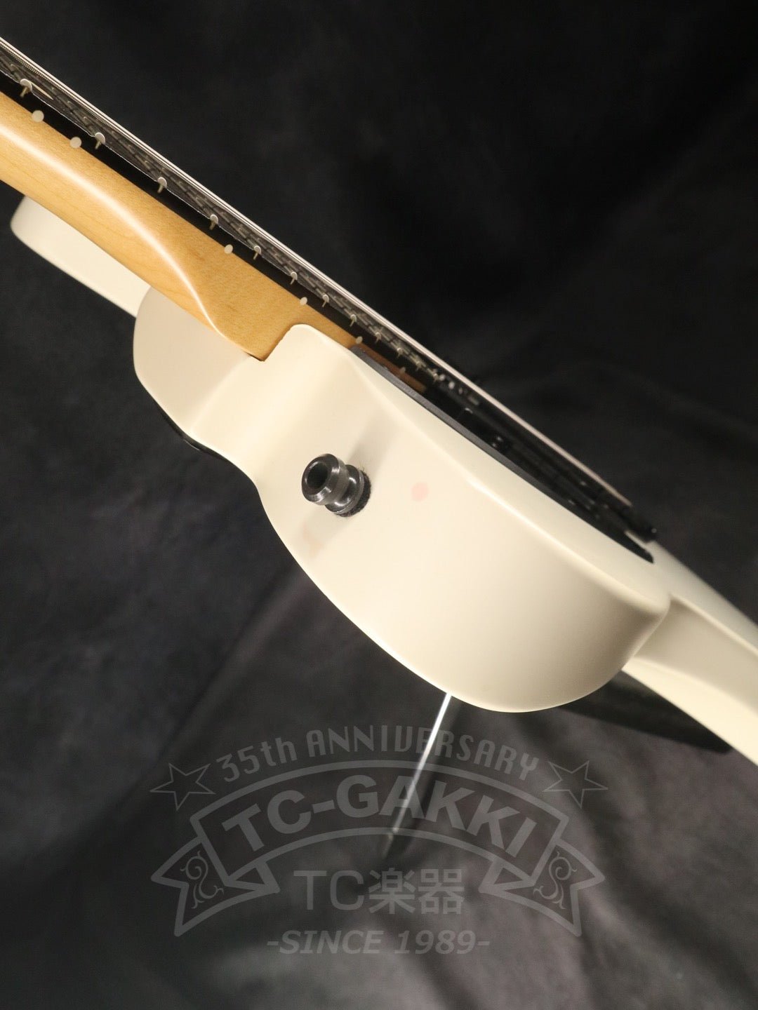 Jim Root Telecaster - TC楽器 - TCGAKKI