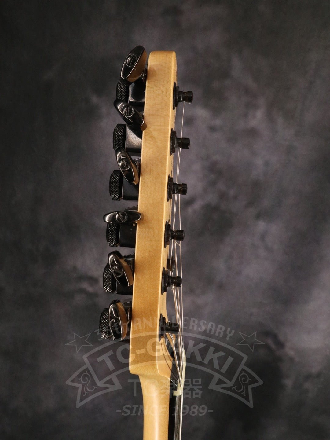 Jim Root Telecaster - TC楽器 - TCGAKKI