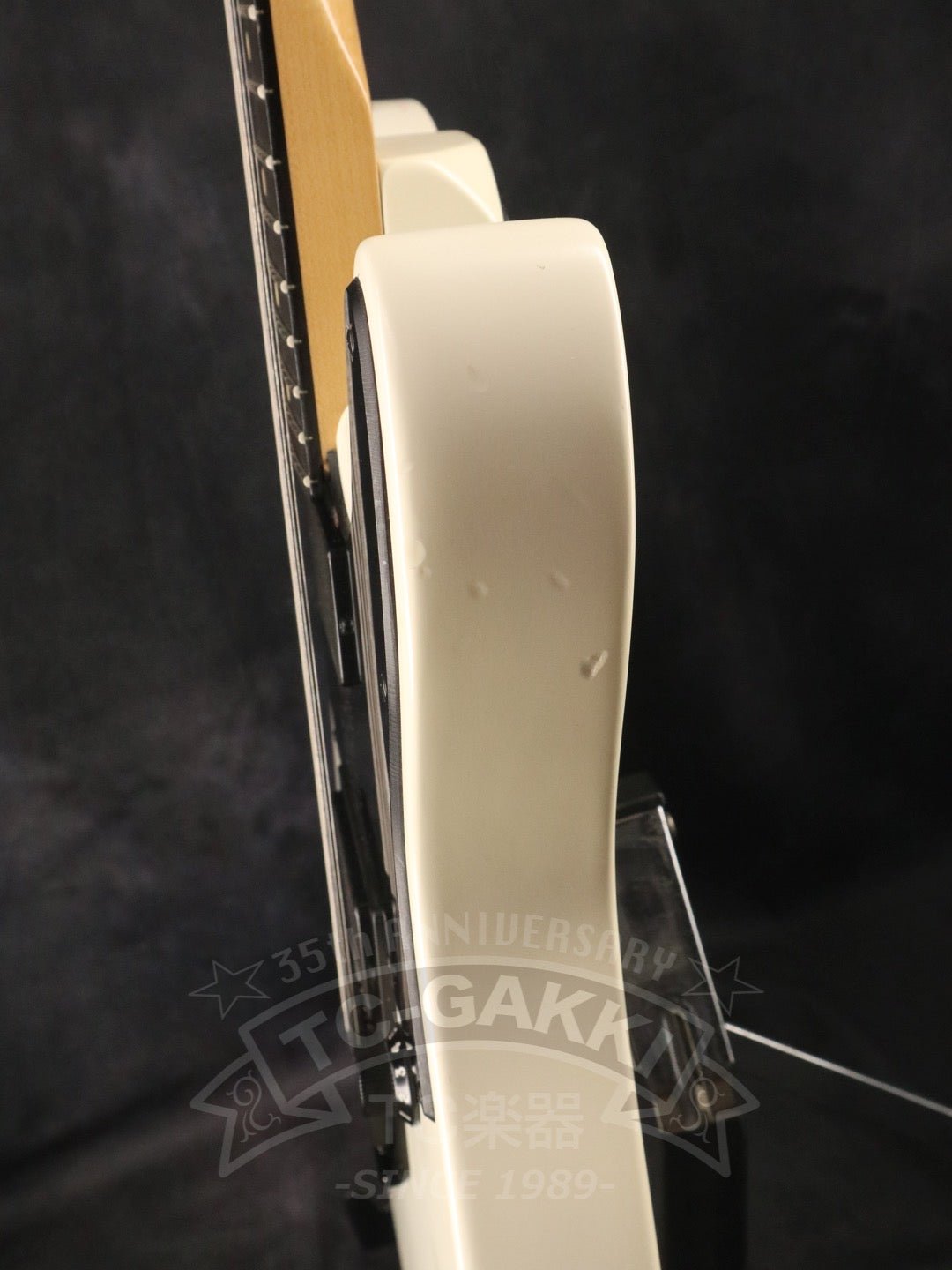 Jim Root Telecaster - TC楽器 - TCGAKKI