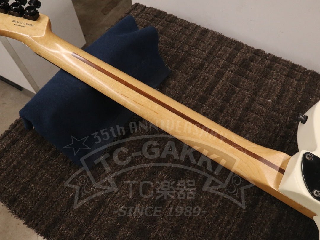 Jim Root Telecaster - TC楽器 - TCGAKKI