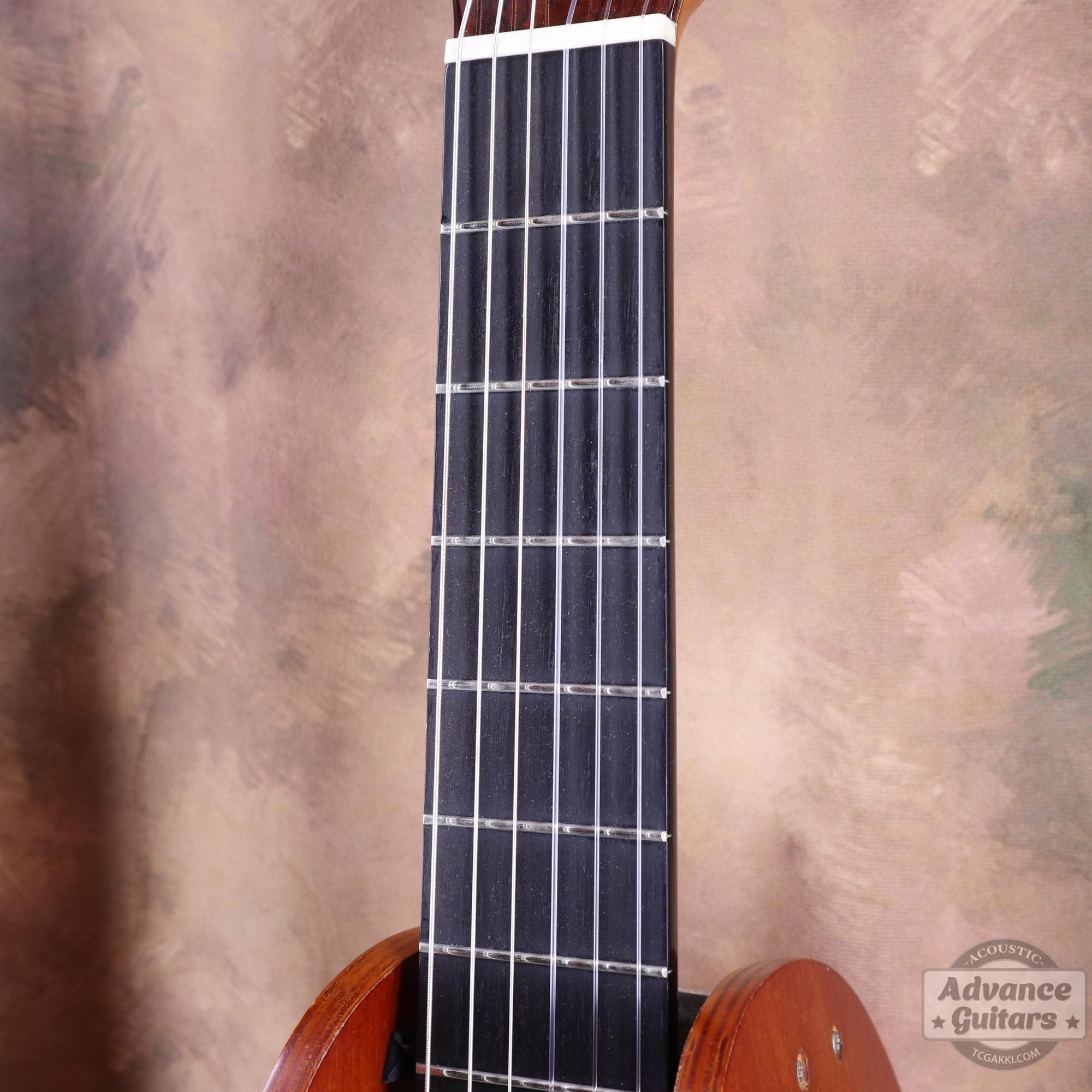 Juan Hernandez 2016年製 Maestro (Cedar/Cocobolo) - TC楽器 - TCGAKKI