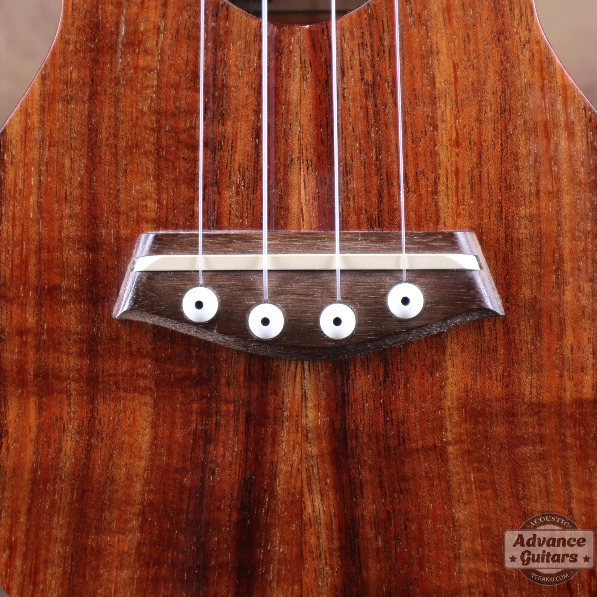 K - 1 S - TC楽器 - TCGAKKI