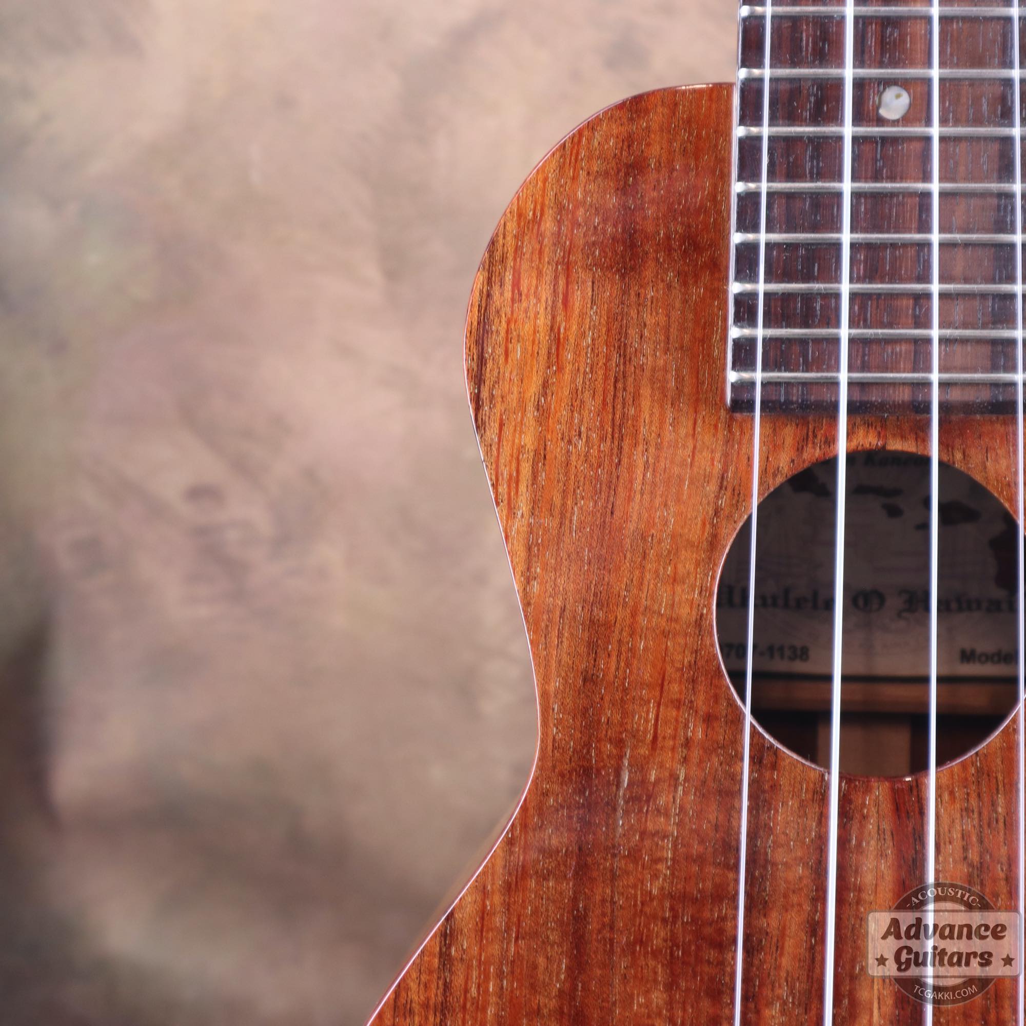 K - 1 S - TC楽器 - TCGAKKI