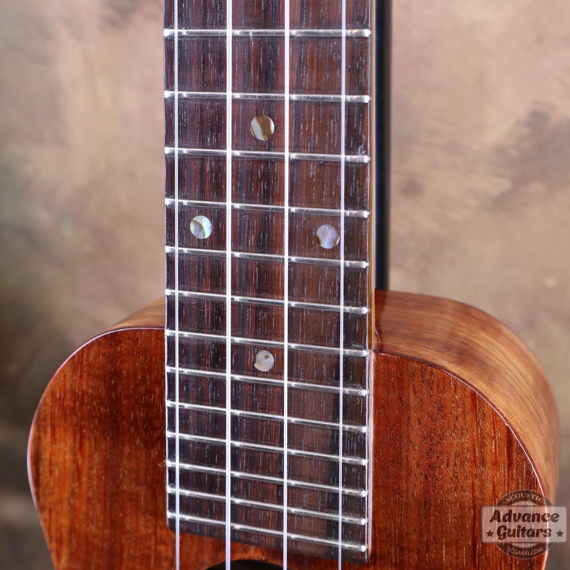 K - 1 S - TC楽器 - TCGAKKI