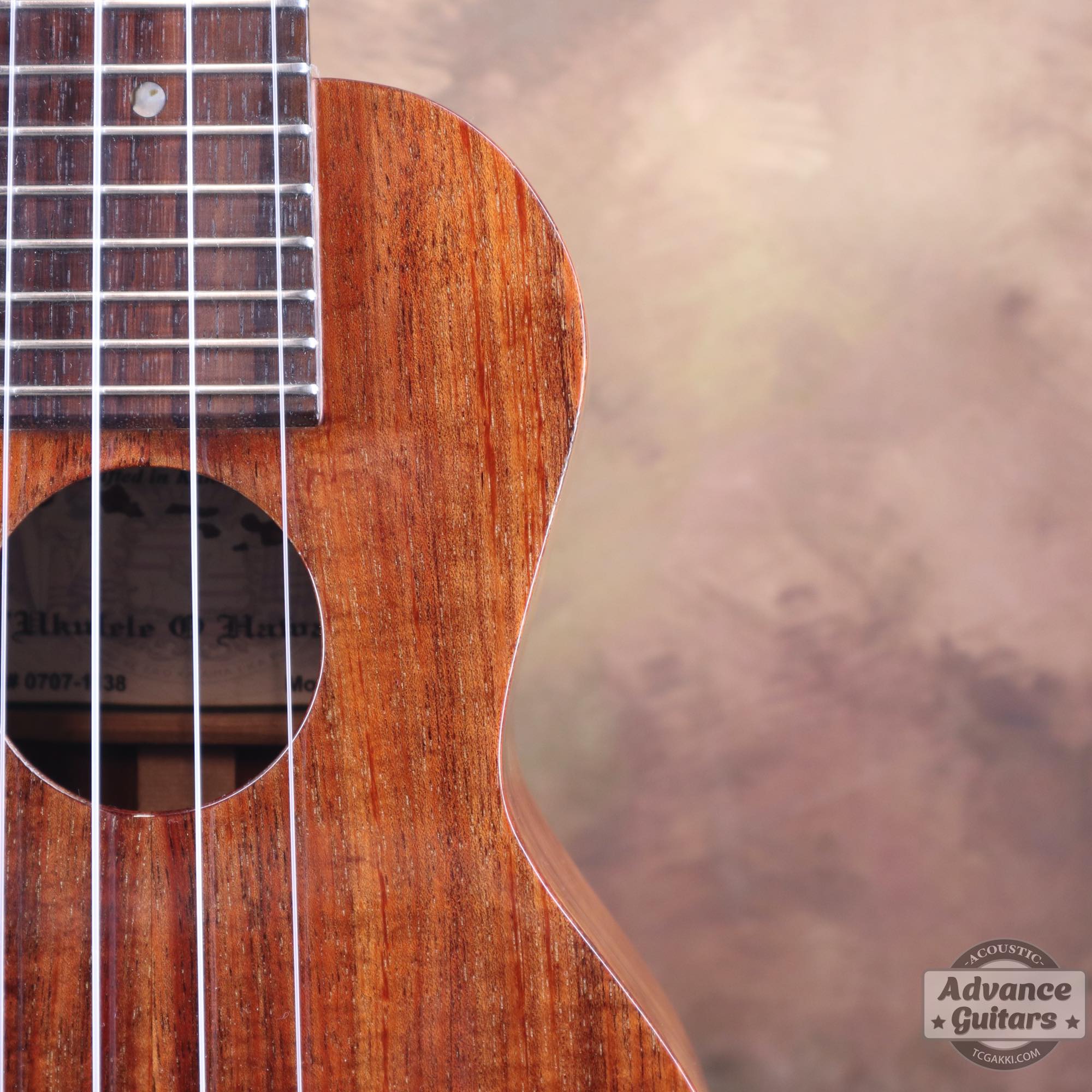 K - 1 S - TC楽器 - TCGAKKI