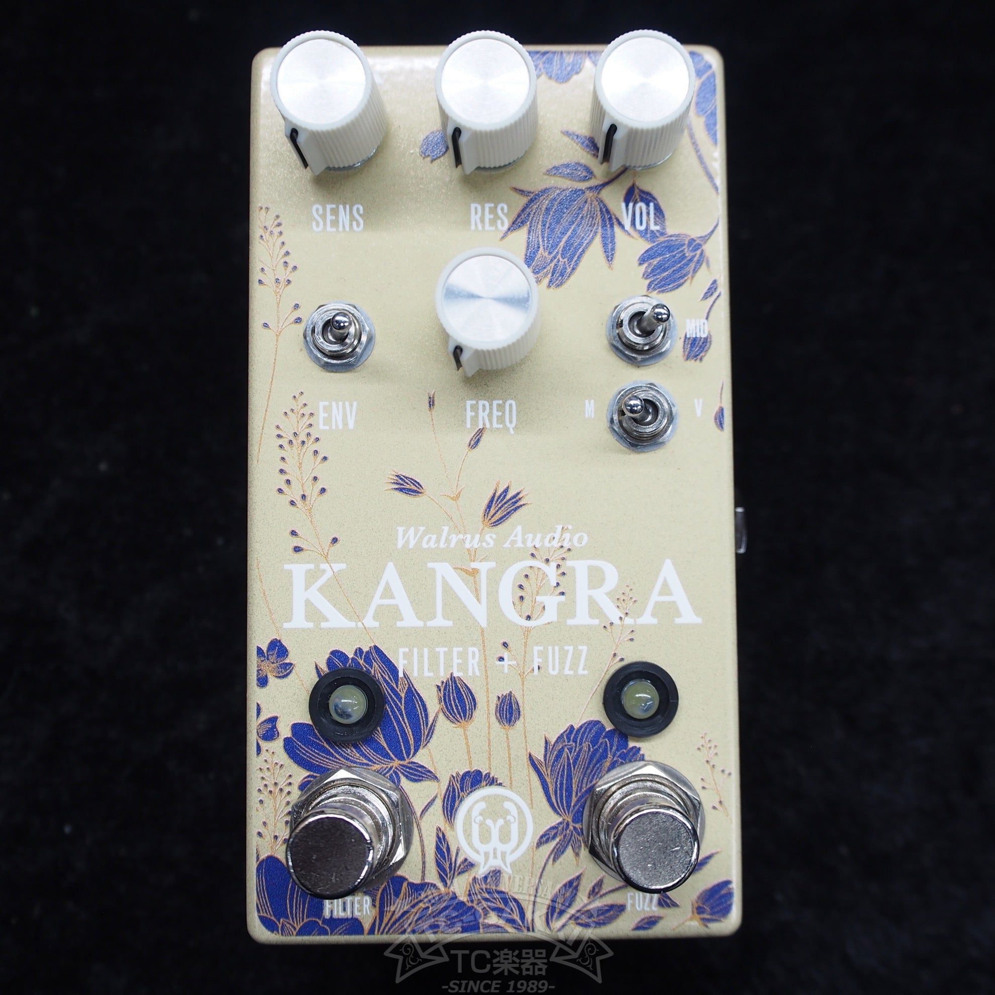 KANGRA (2024 Floral Series) - TC楽器 - TCGAKKI