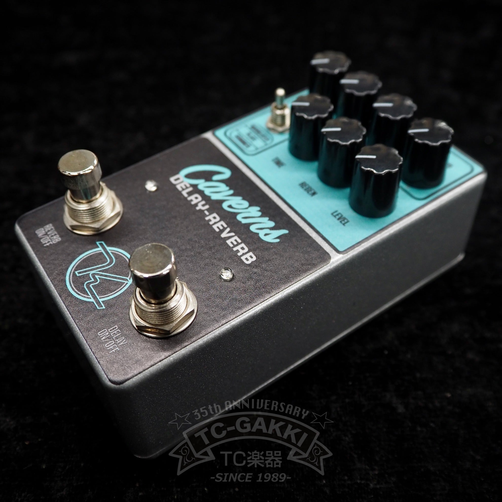 Keeley Caverns DELAY - REVERB - TC楽器 - TCGAKKI
