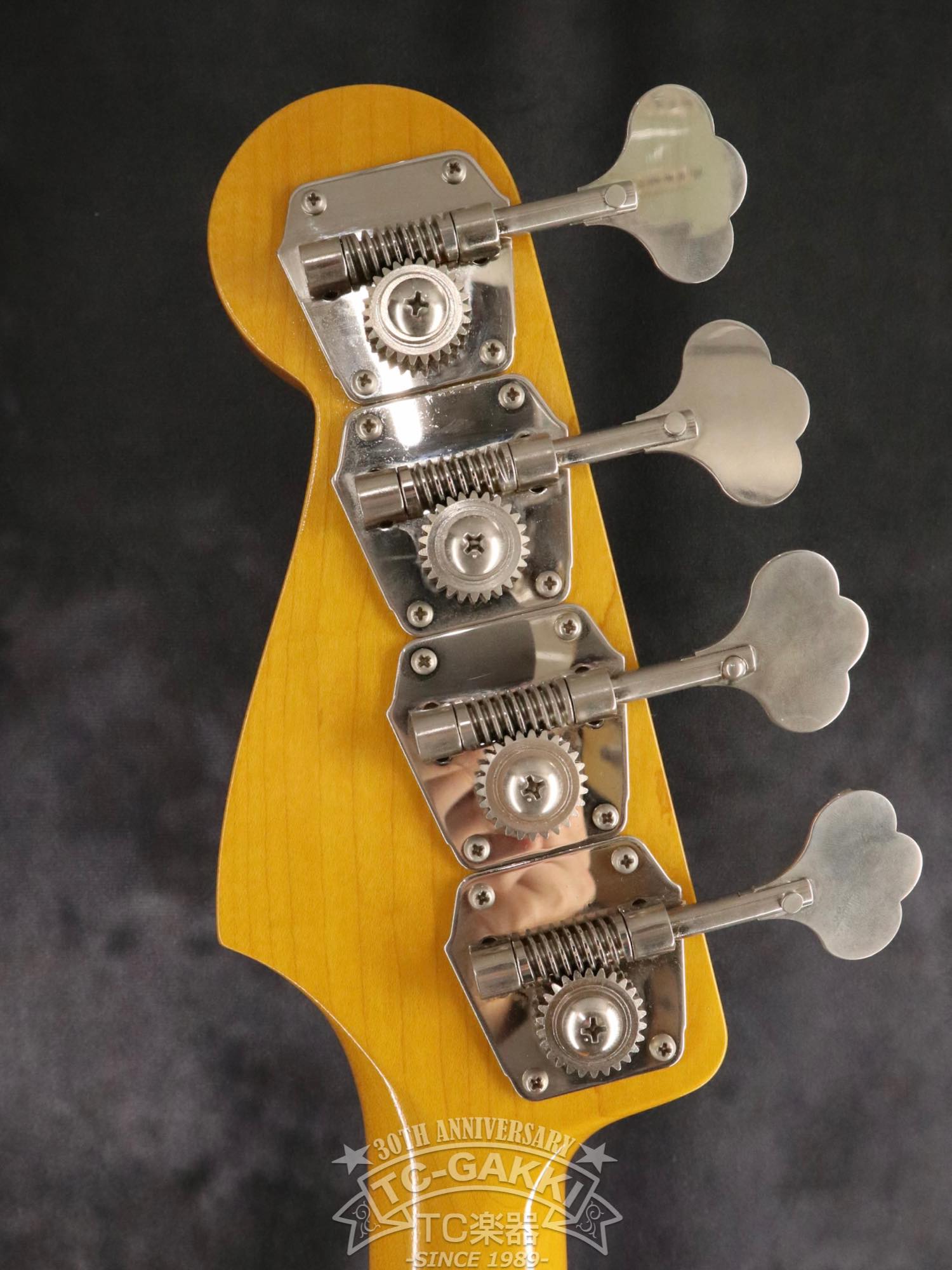 KNPB - TC楽器 - TCGAKKI