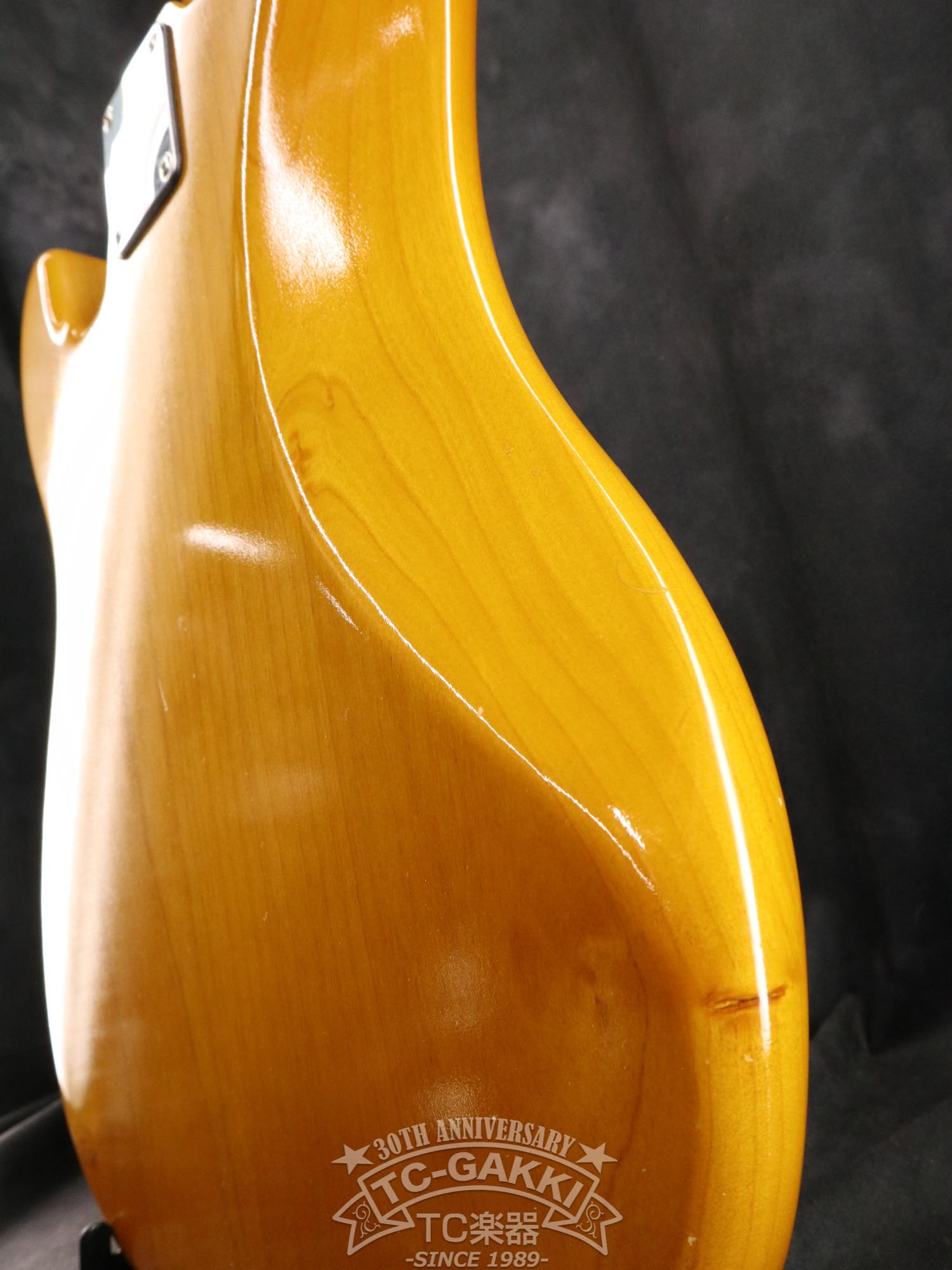 KNPB - TC楽器 - TCGAKKI