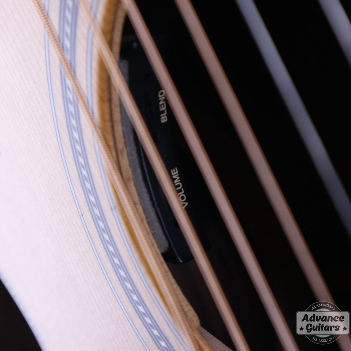 Larrivee 2014年製 OM-40 RE - TC楽器 - TCGAKKI