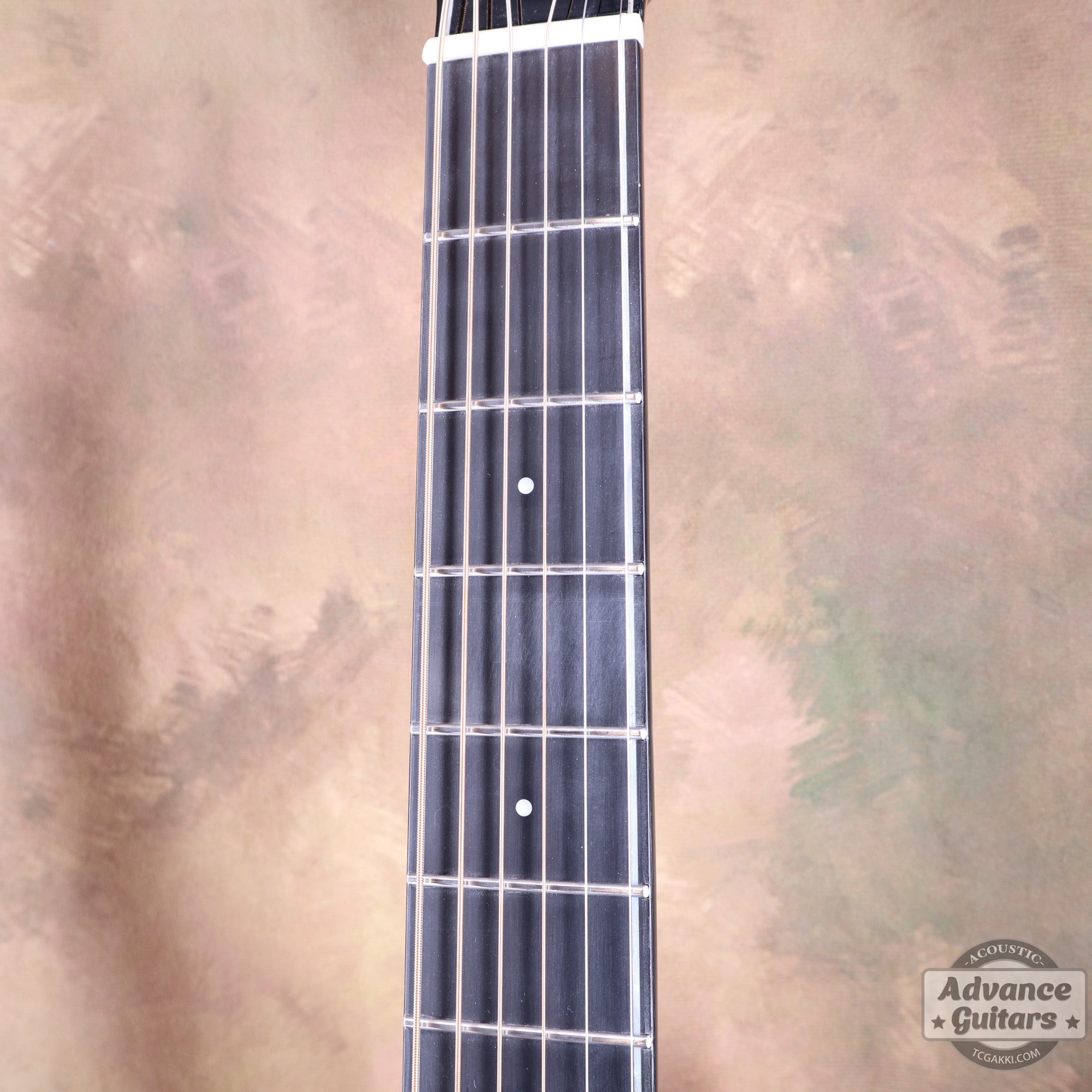 【新品】Legacy - EQ - TC楽器 - TCGAKKI