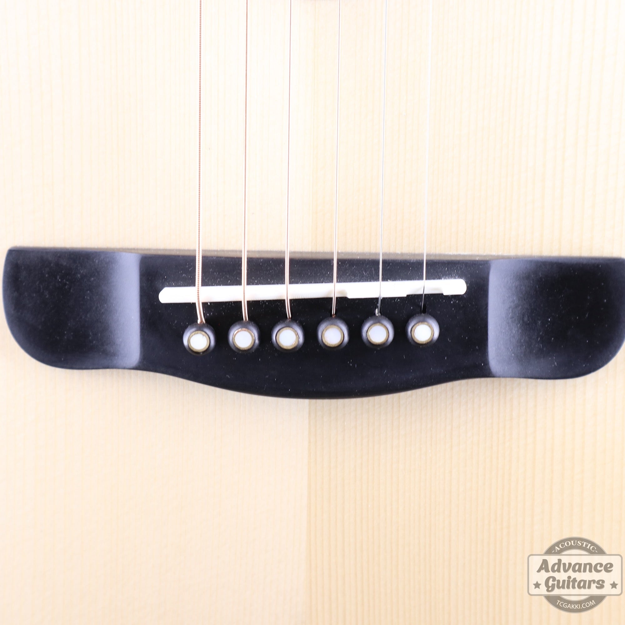 【新品】Legacy - EQ - TC楽器 - TCGAKKI