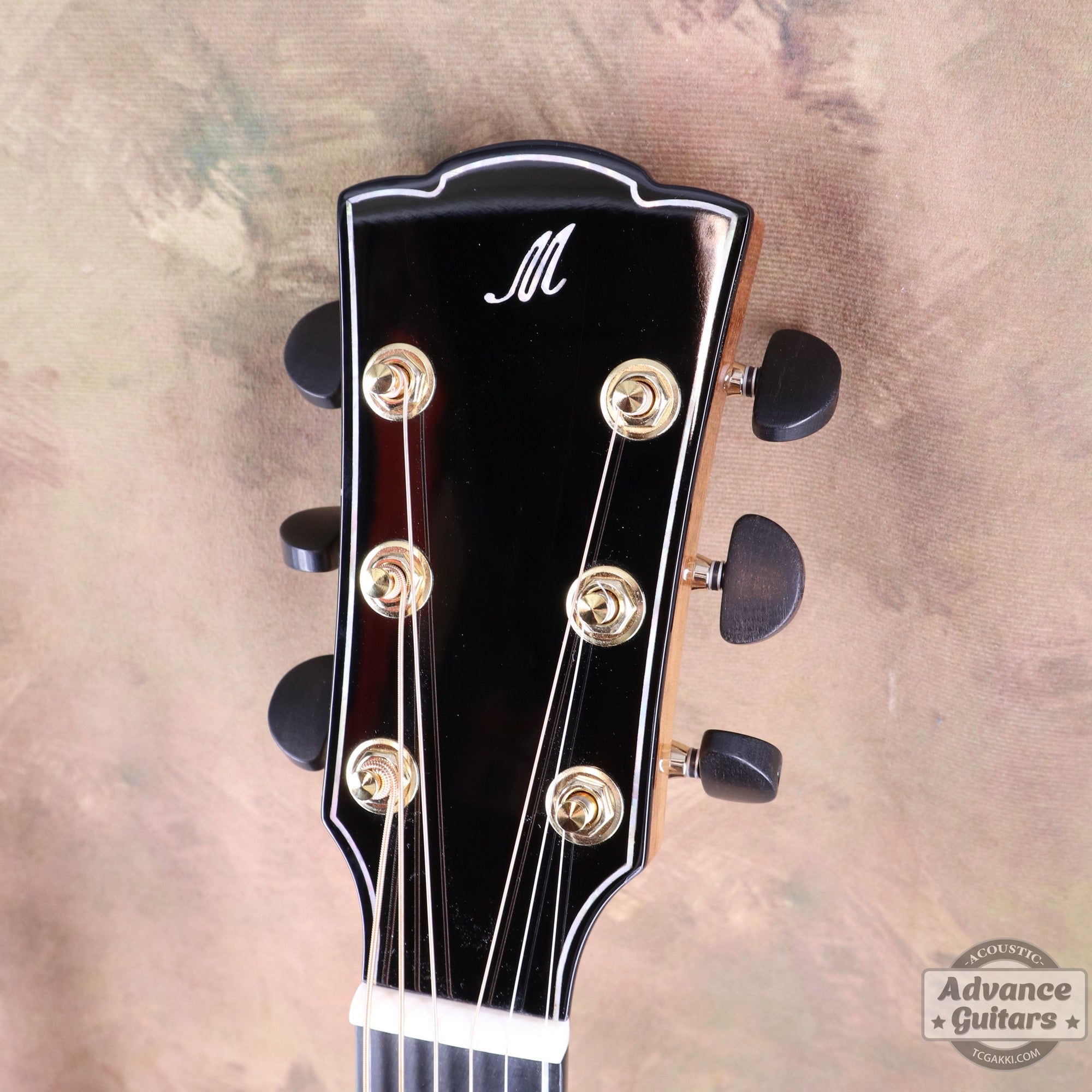 【新品】Legacy - EQ - TC楽器 - TCGAKKI