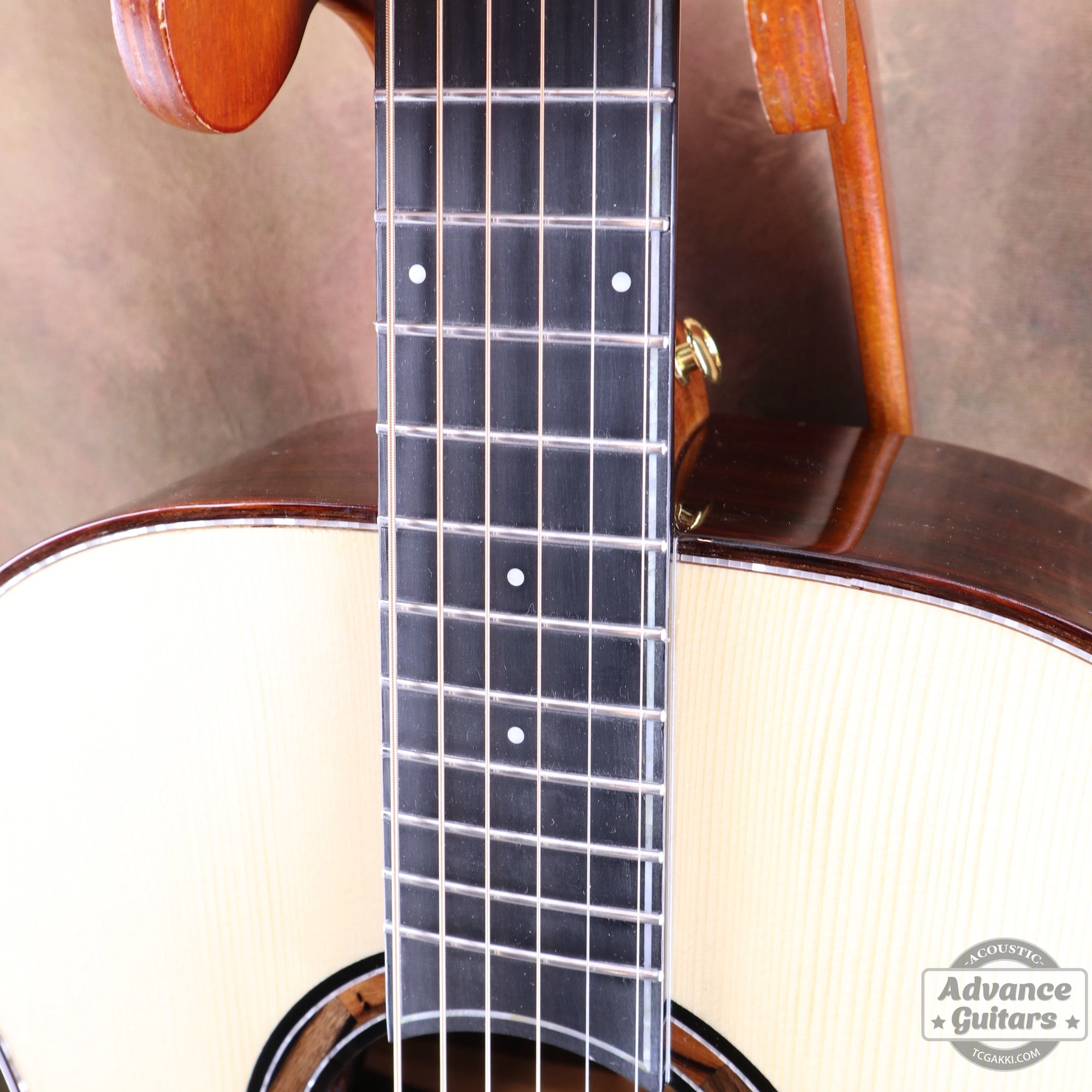 【新品】Legacy - EQ - TC楽器 - TCGAKKI