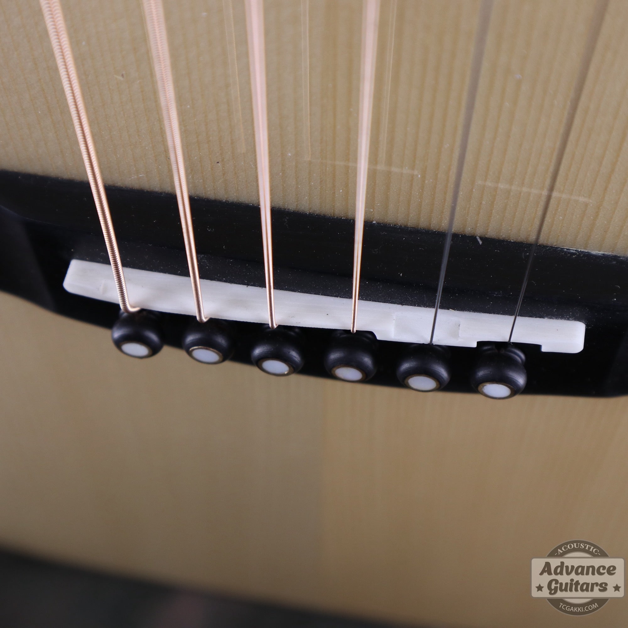 【新品】Legacy - EQ - TC楽器 - TCGAKKI