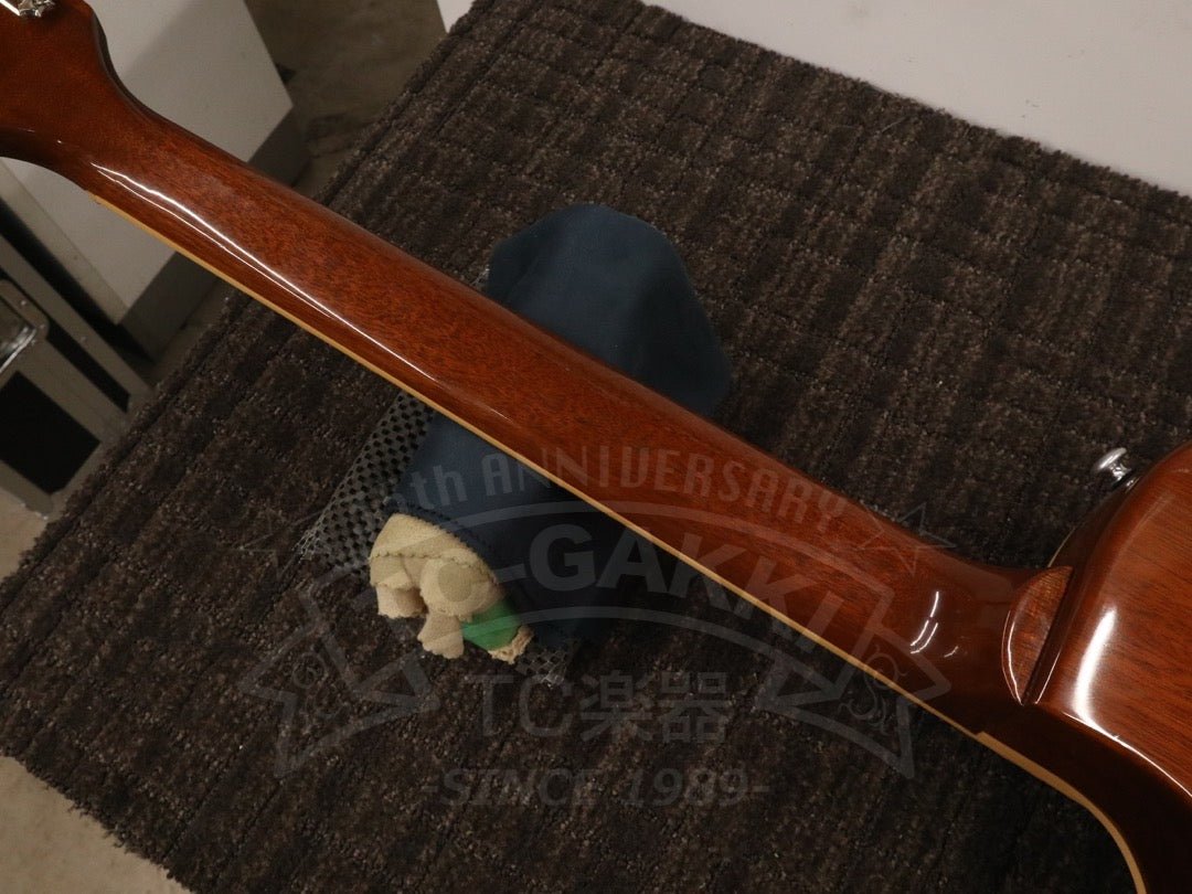 Les Paul Classic Plain Top - TC楽器 - TCGAKKI