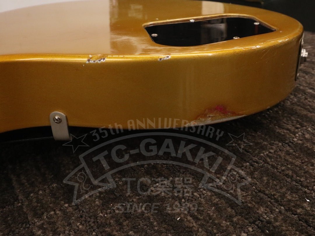 Les Paul Silver Streak - TC楽器 - TCGAKKI