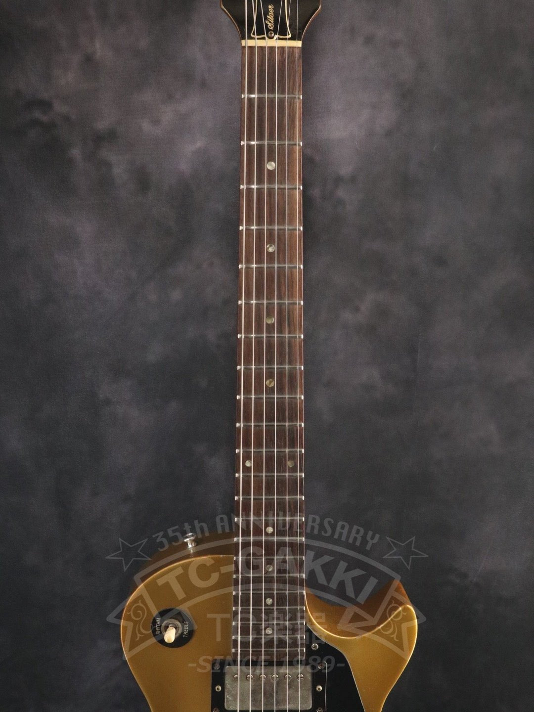 Les Paul Silver Streak - TC楽器 - TCGAKKI