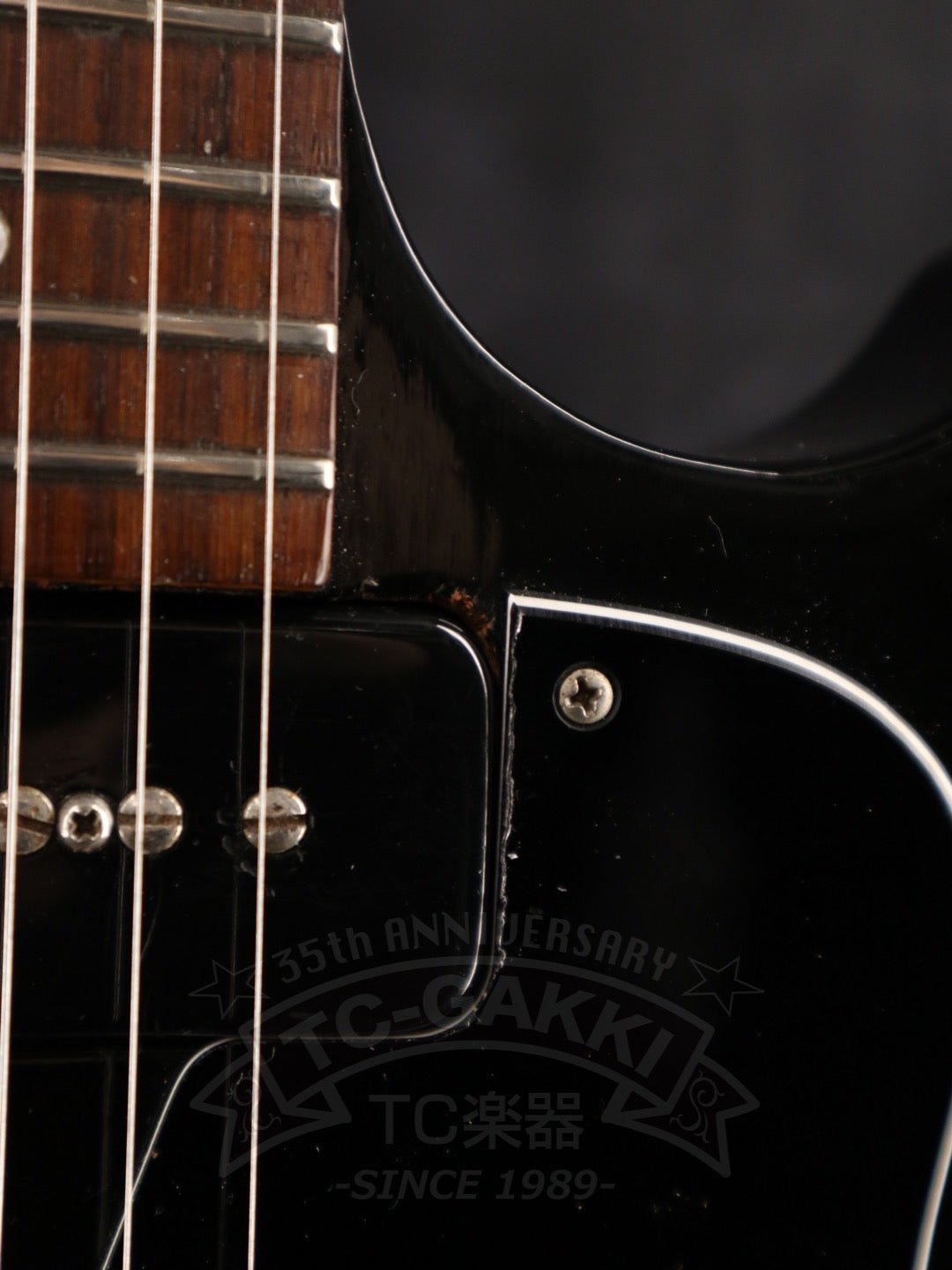 Les Paul Special P - 100 - TC楽器 - TCGAKKI