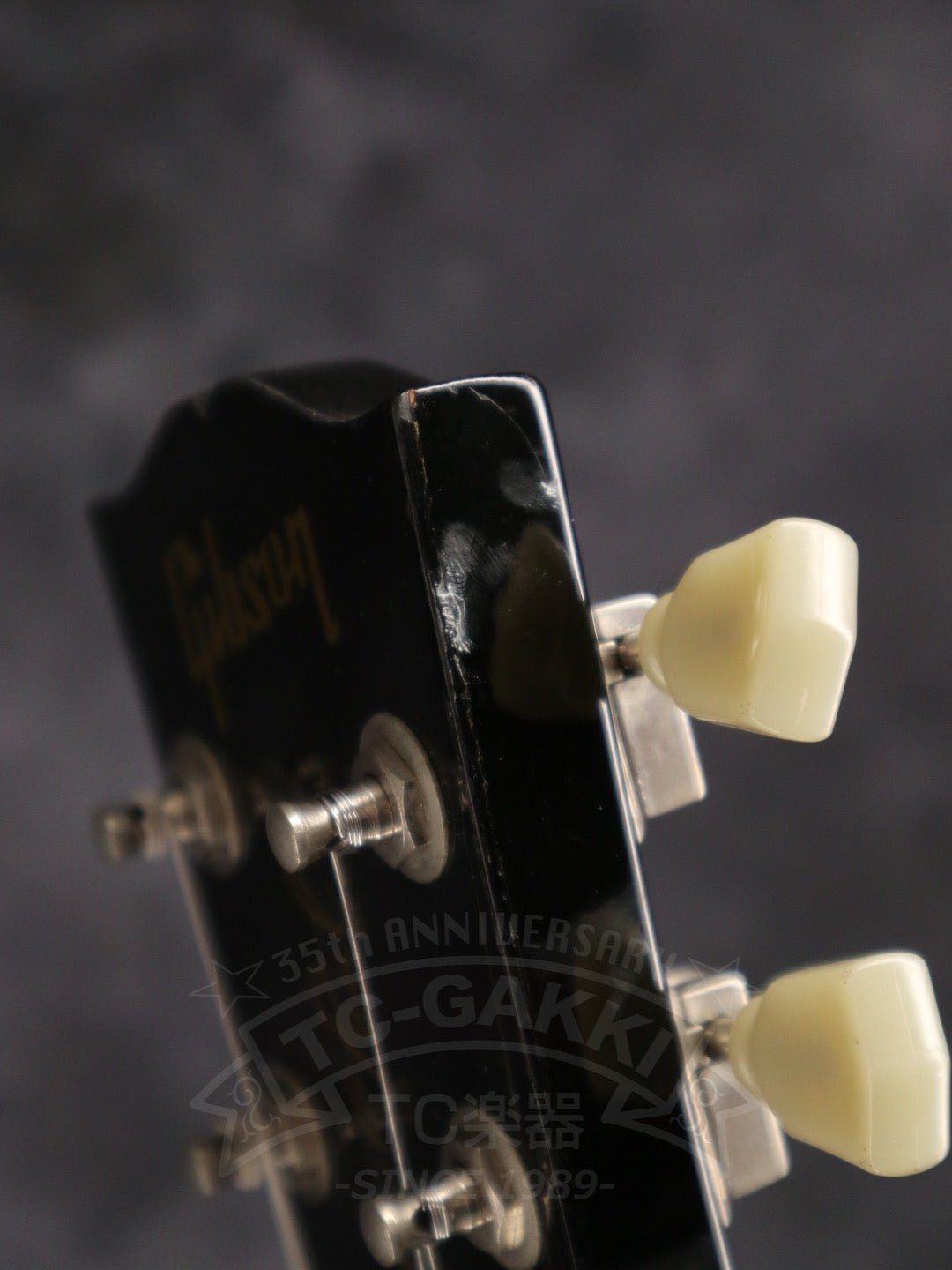 Les Paul Special P - 100 - TC楽器 - TCGAKKI