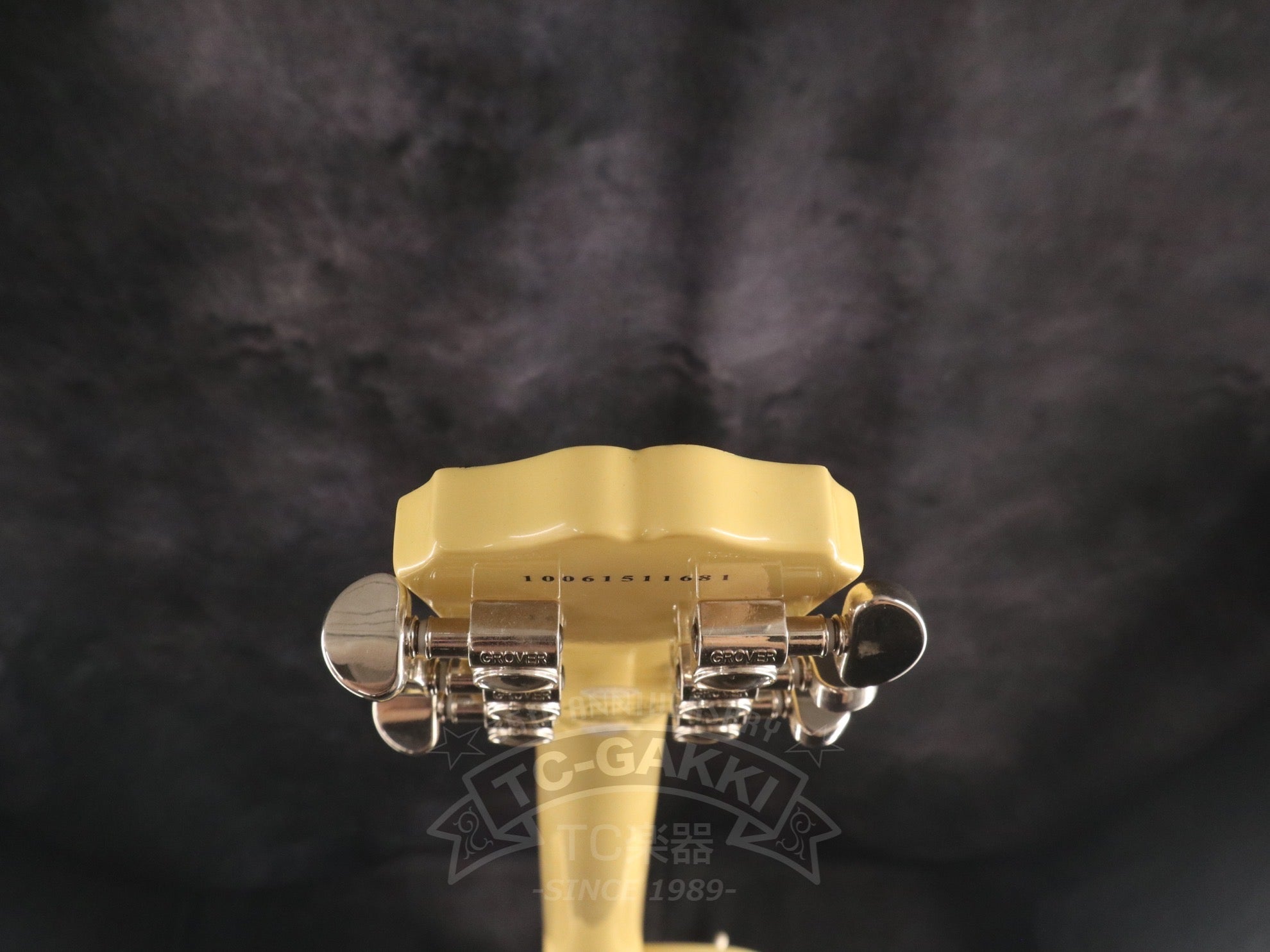 Les Paul Standard - TC楽器 - TCGAKKI