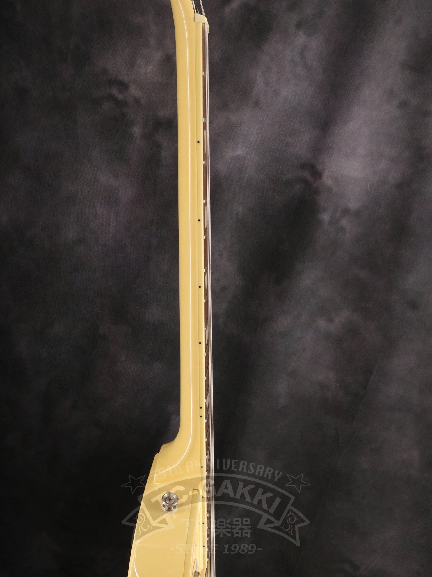 Les Paul Standard - TC楽器 - TCGAKKI