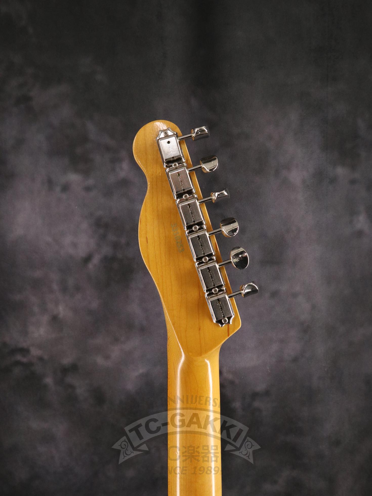 LGuitars LG - TE - JB - TC楽器 - TCGAKKI