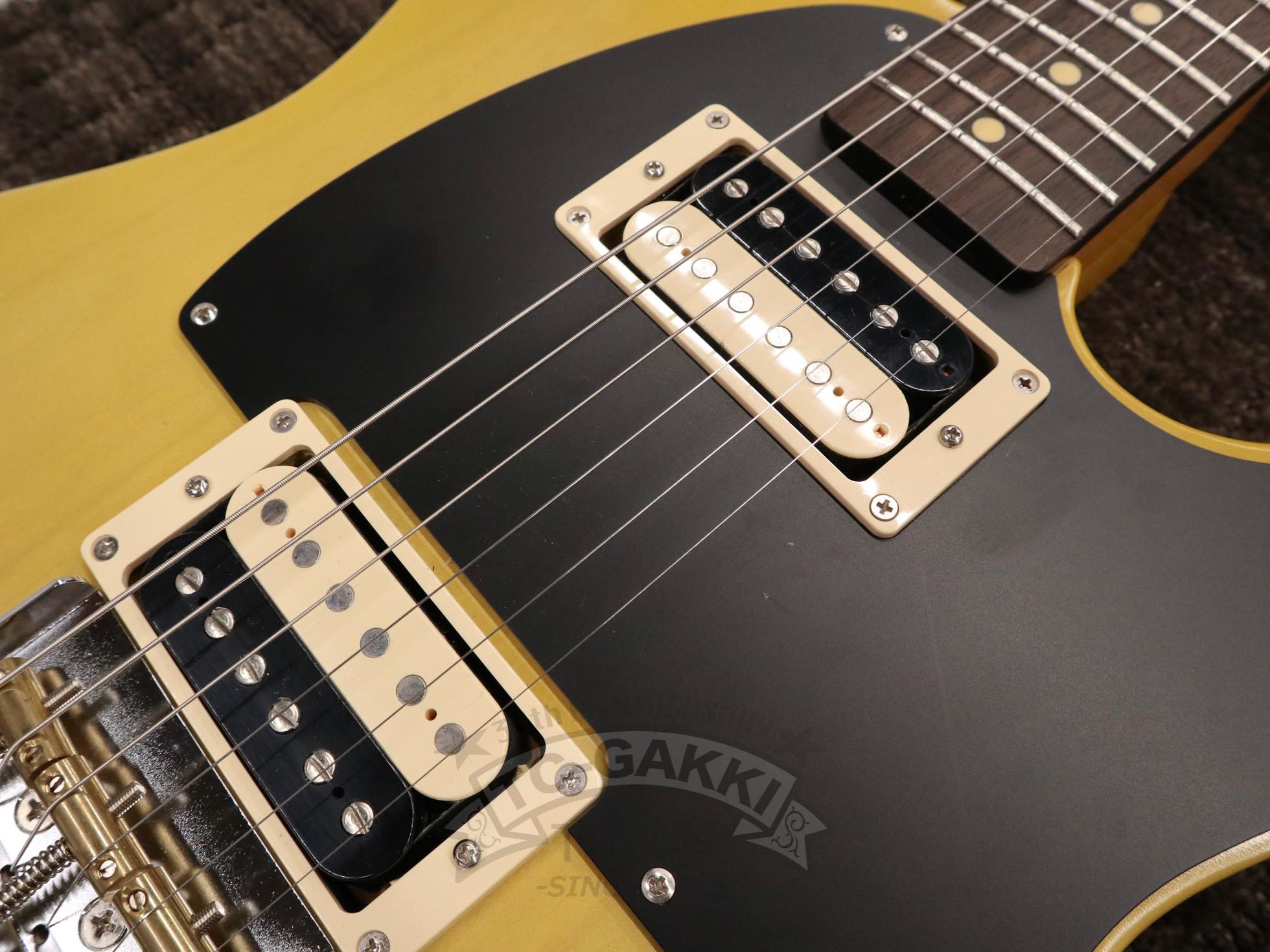 LGuitars LG - TE - JB - TC楽器 - TCGAKKI