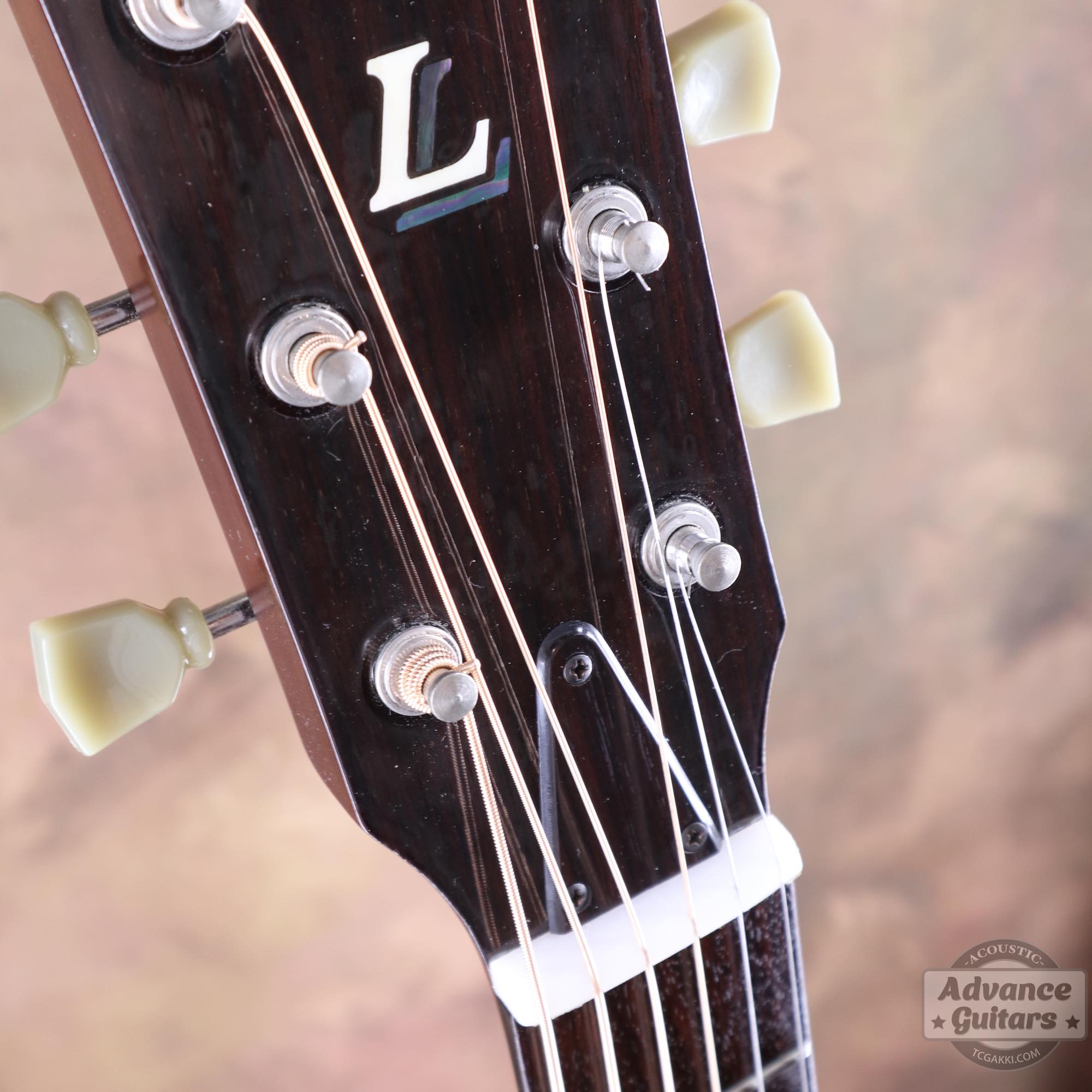 LL - 5 - TC楽器 - TCGAKKI