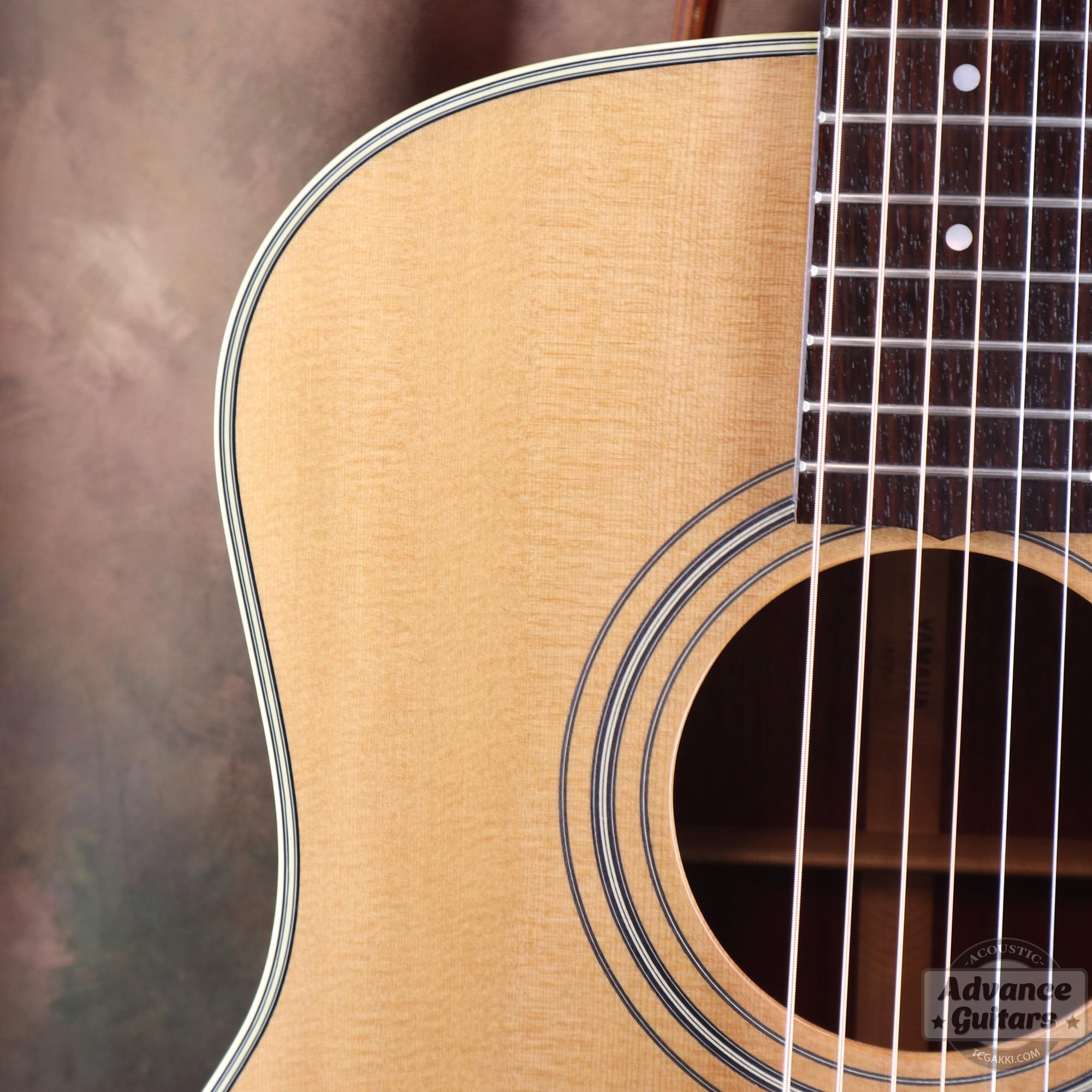 LL - 5 - TC楽器 - TCGAKKI