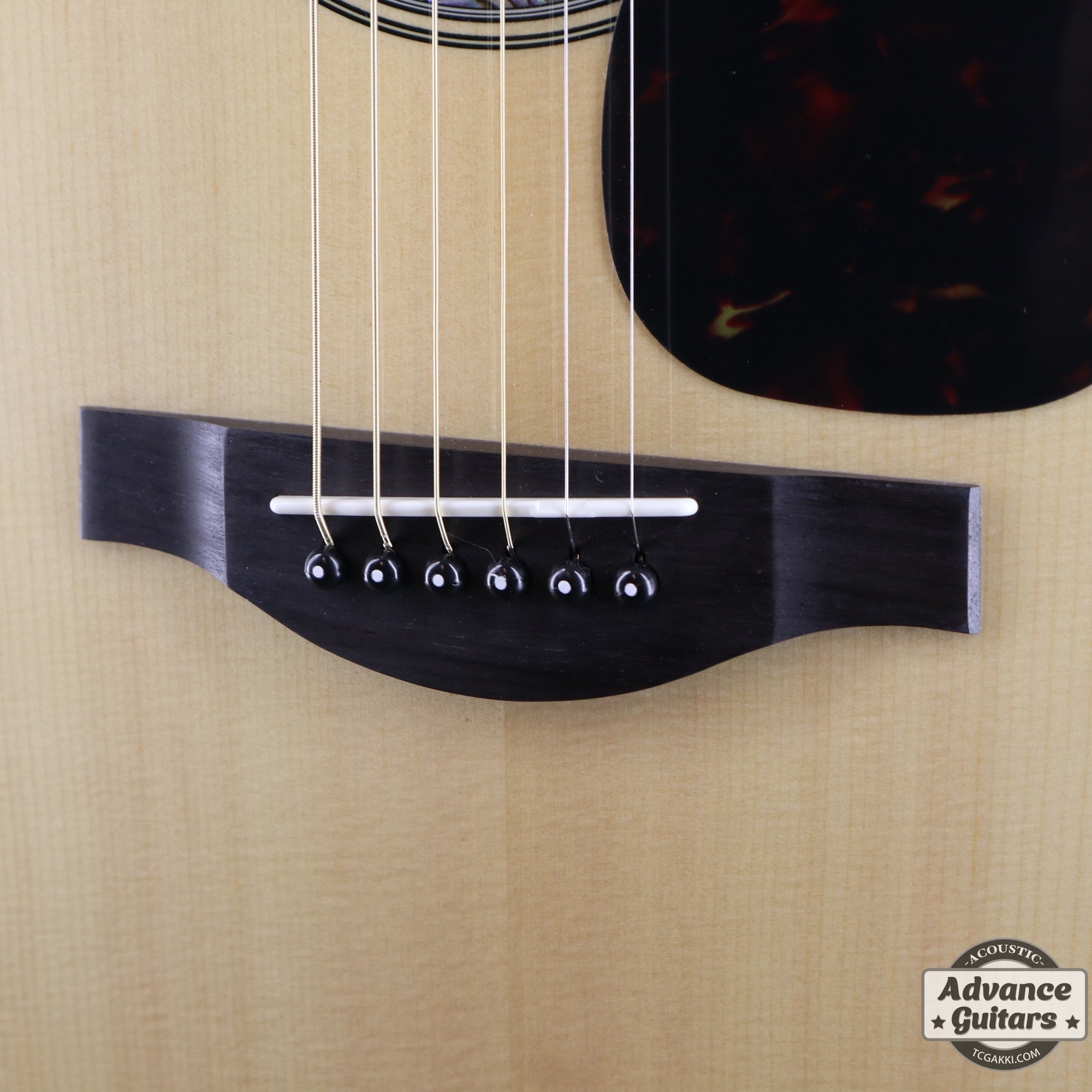 【新品】LL6 ARE - TC楽器 - TCGAKKI