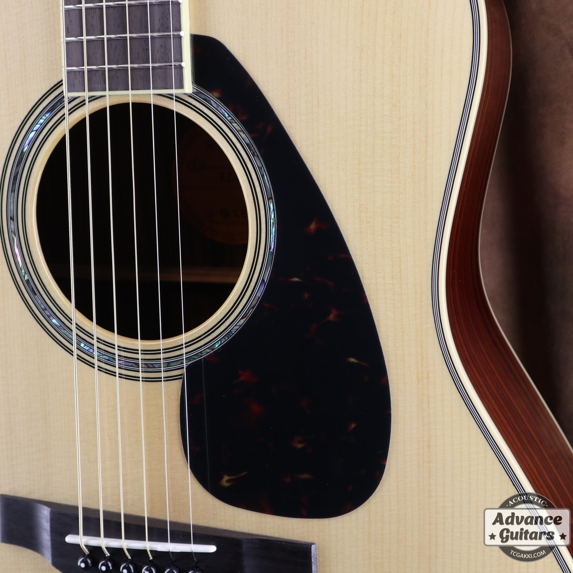 【新品】LL6 ARE - TC楽器 - TCGAKKI