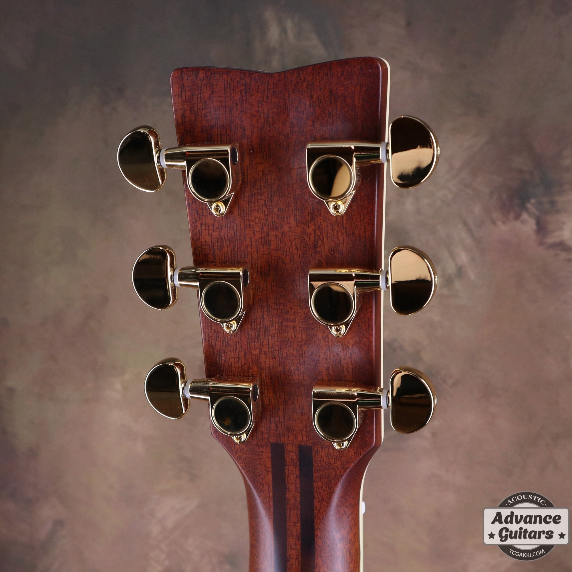 【新品】LL6 ARE - TC楽器 - TCGAKKI