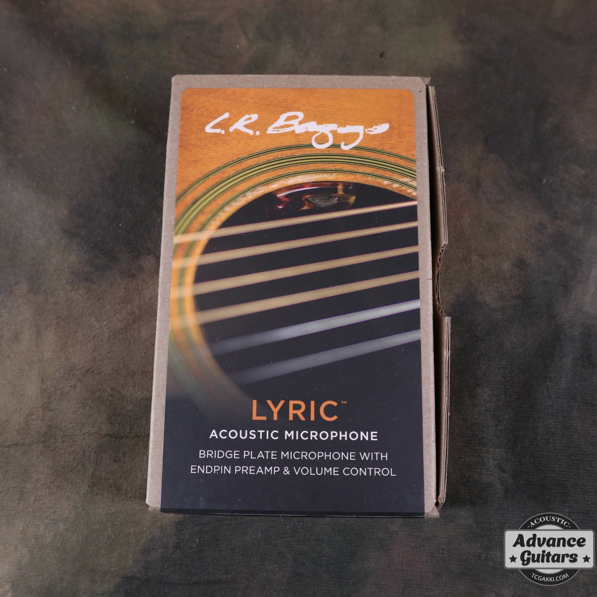 【新品】Lyric - TC楽器 - TCGAKKI