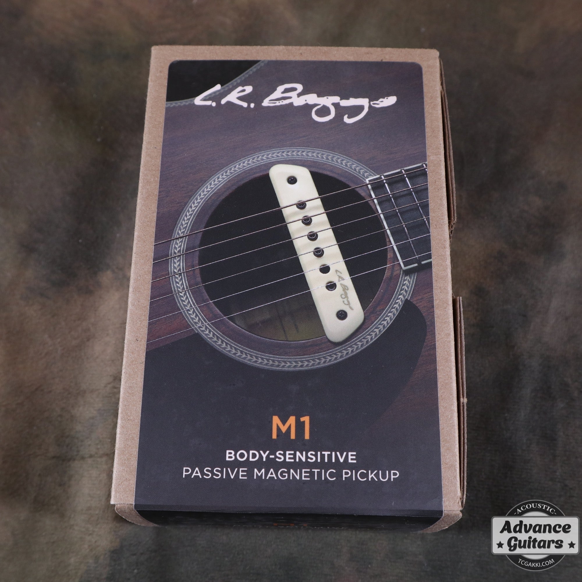 新品】M1 Passive - TC楽器 - TCGAKKI