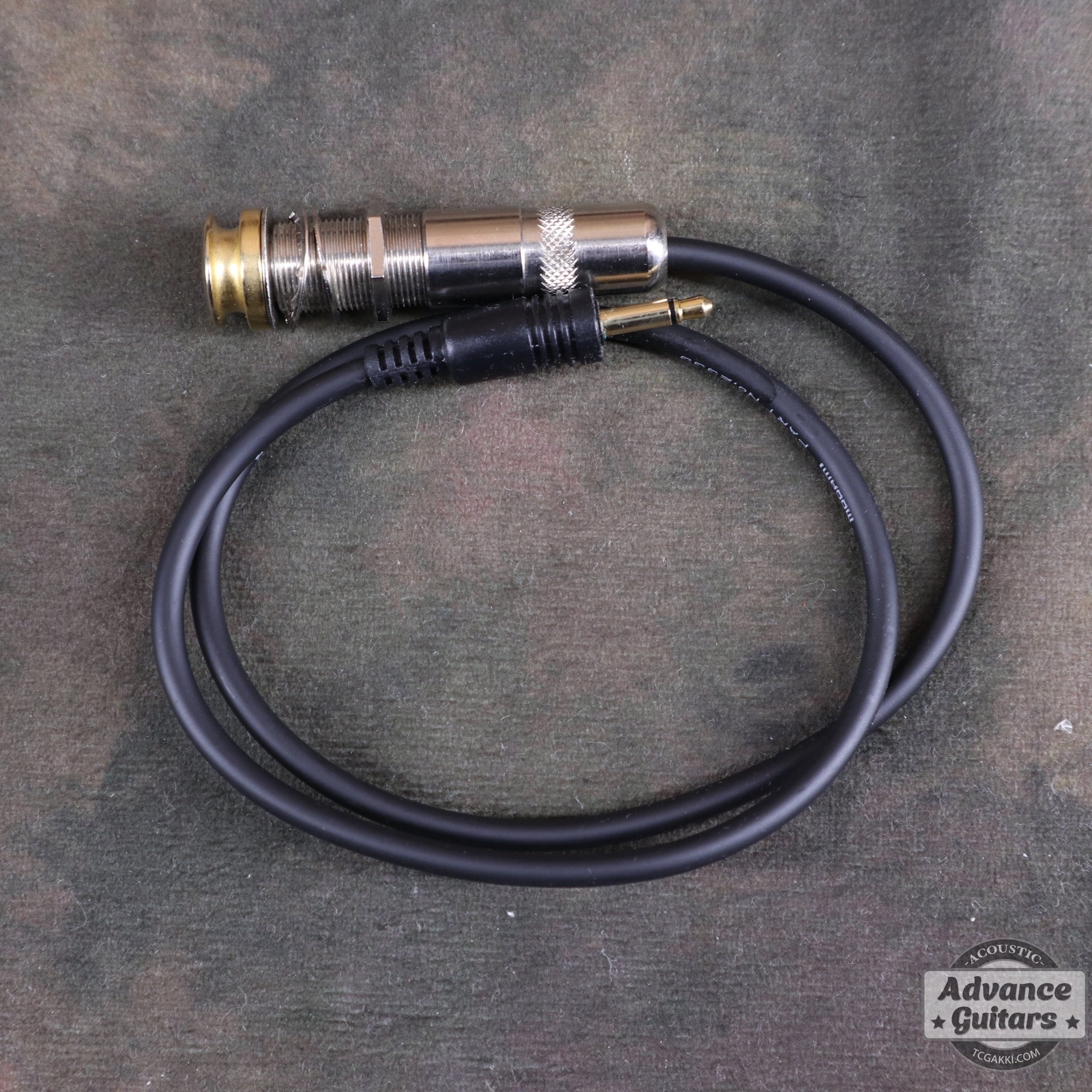 M1 Passive - TC楽器 - TCGAKKI