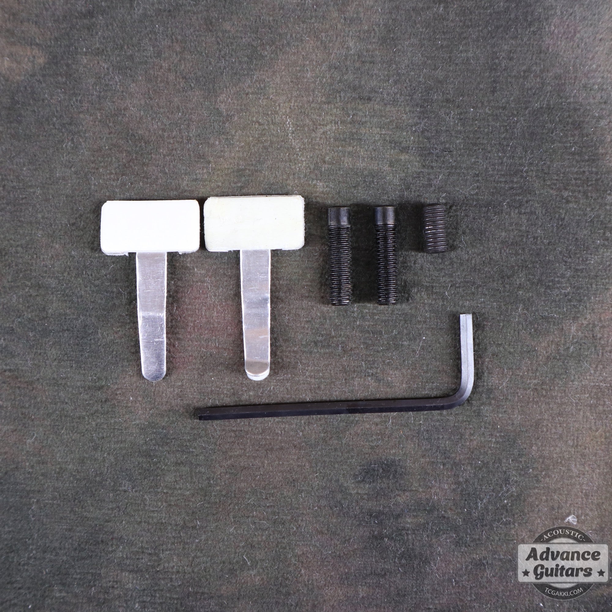 M1 Passive - TC楽器 - TCGAKKI