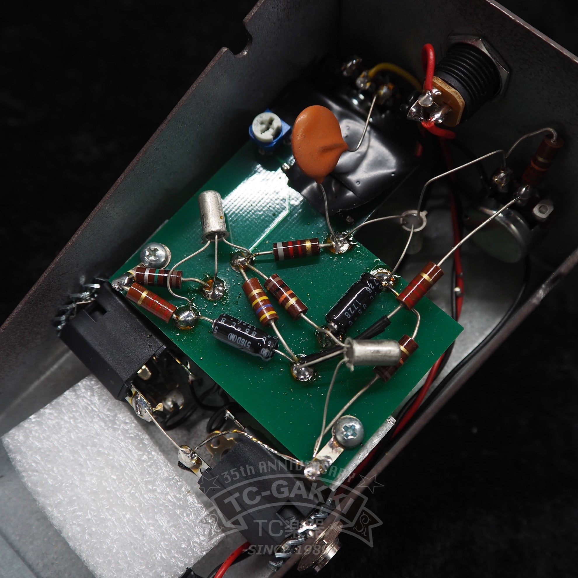 MAESTRA FUZZ - TONE - TC楽器 - TCGAKKI